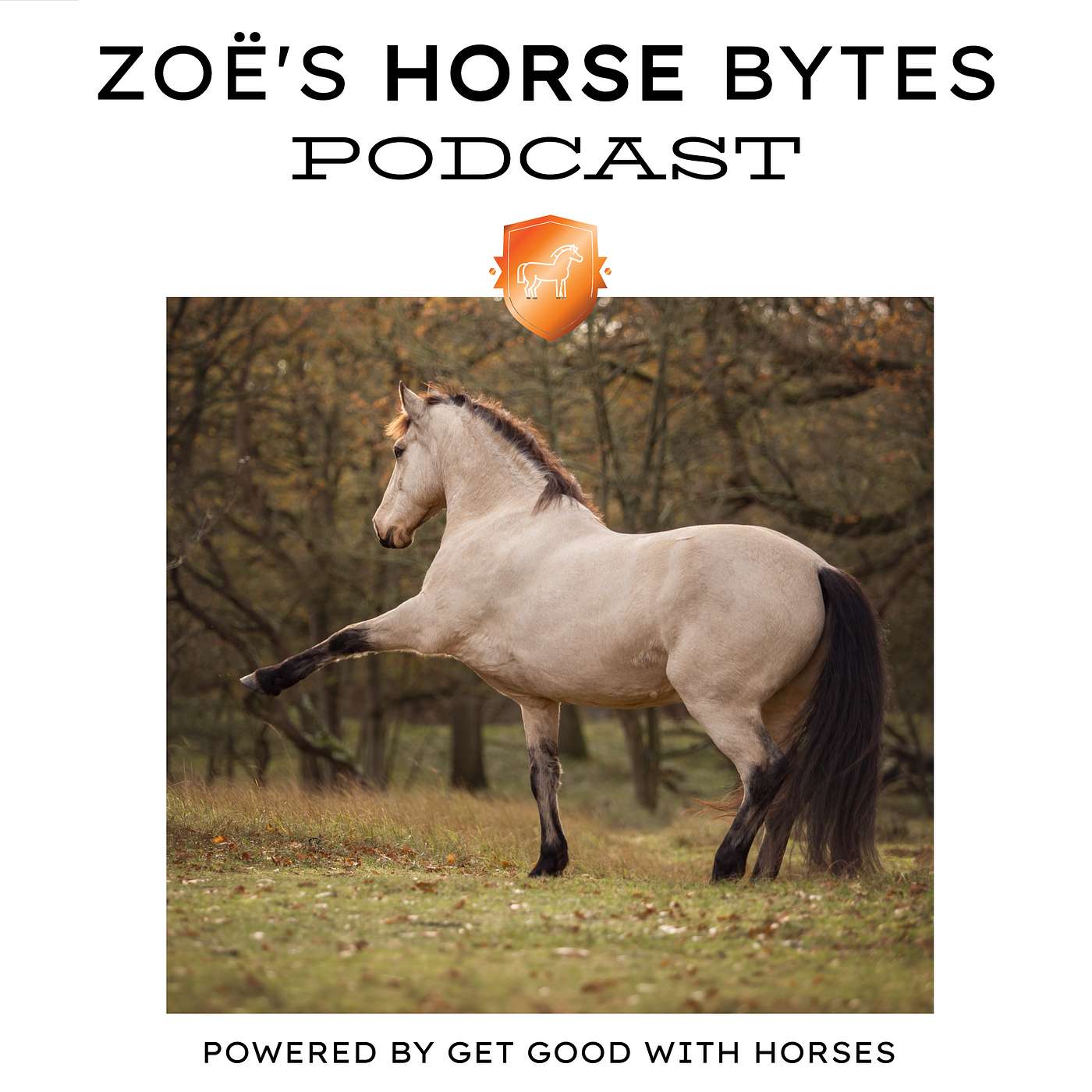 38. One or two techniques, ain't gonna cut it episode artwork