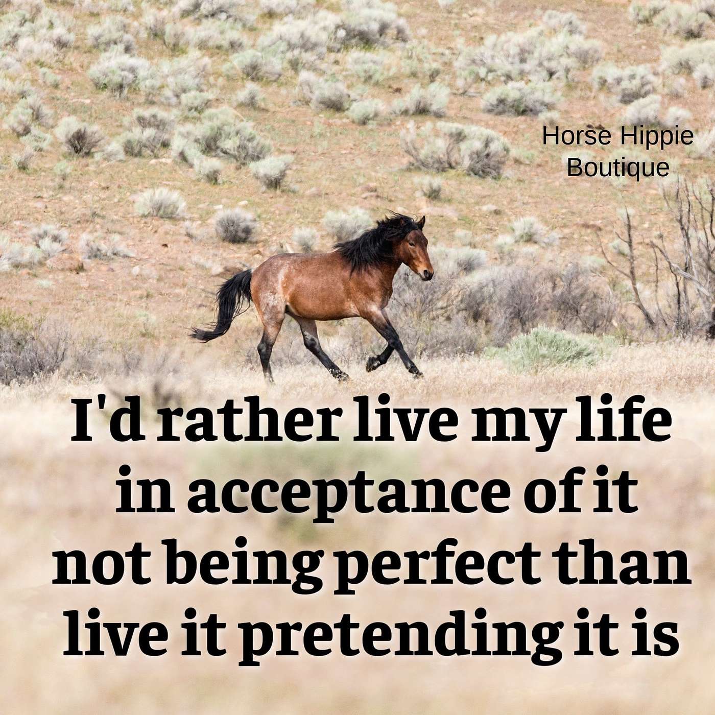 Messy Life Messy Life