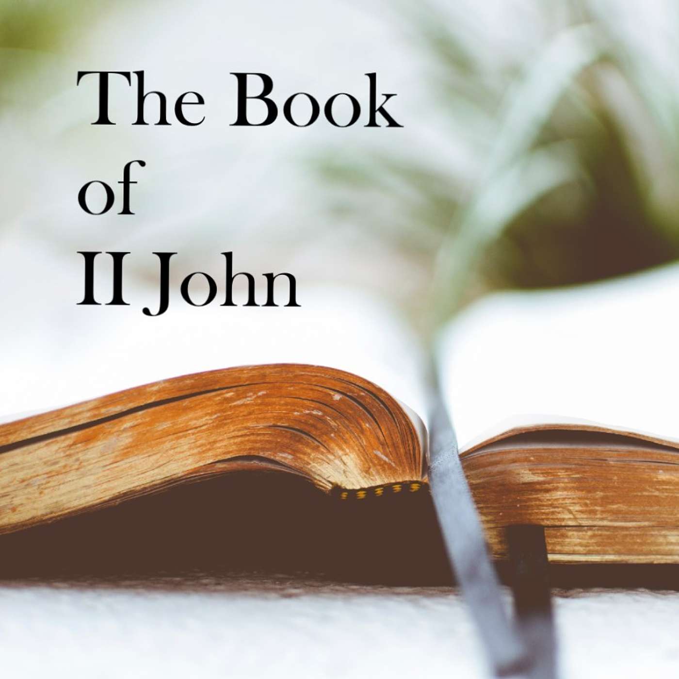 II John Expository Series - Part 4