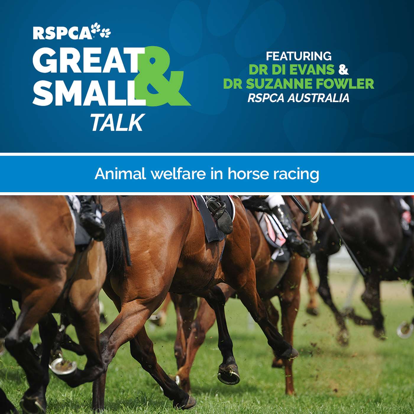 RSPCA Australia\'s Great & Small Talk