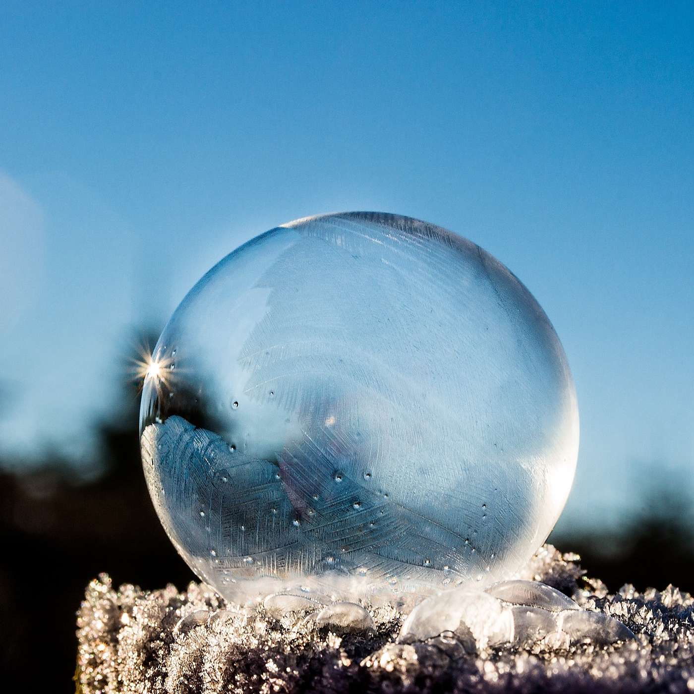 Ask Faleskini - The Midlife Crisis Clarity Compass
