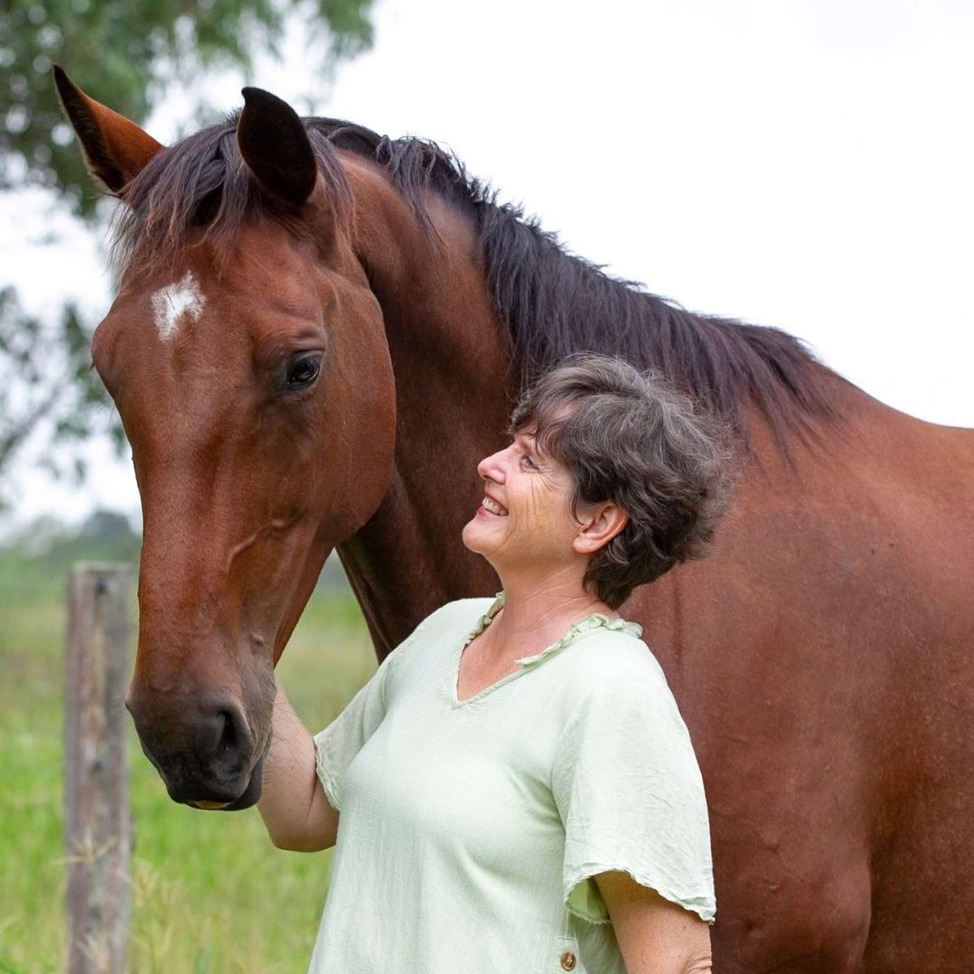 Equestrian Hub Podcast
