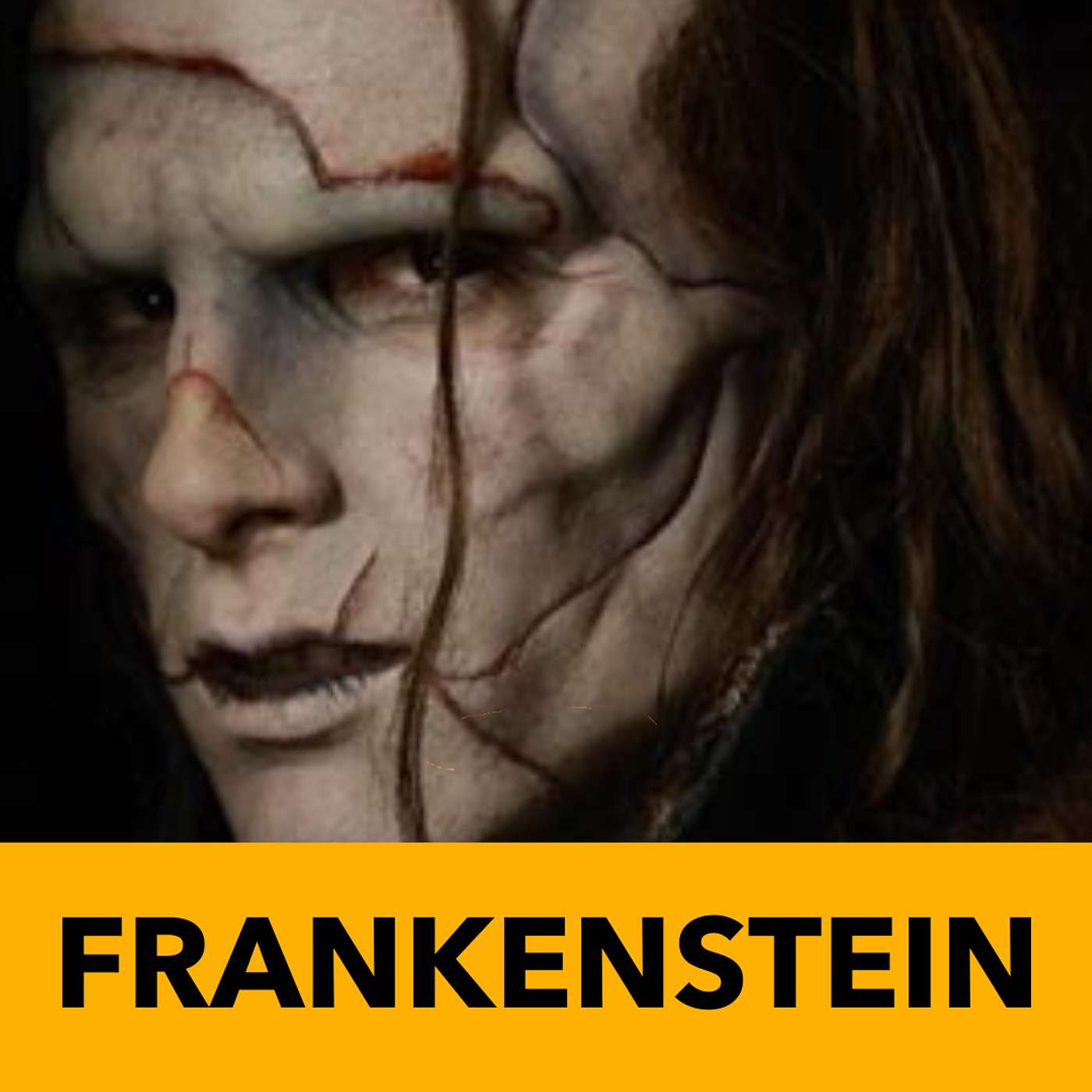 Frankenstein - Mary Shelley Frankenstein - Mary Shelley