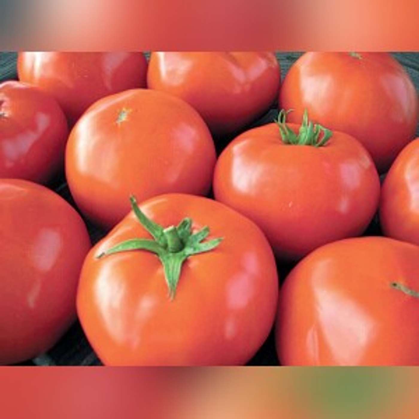 Grow your own fresh vegetables and save Grow your own fresh vegetables and save