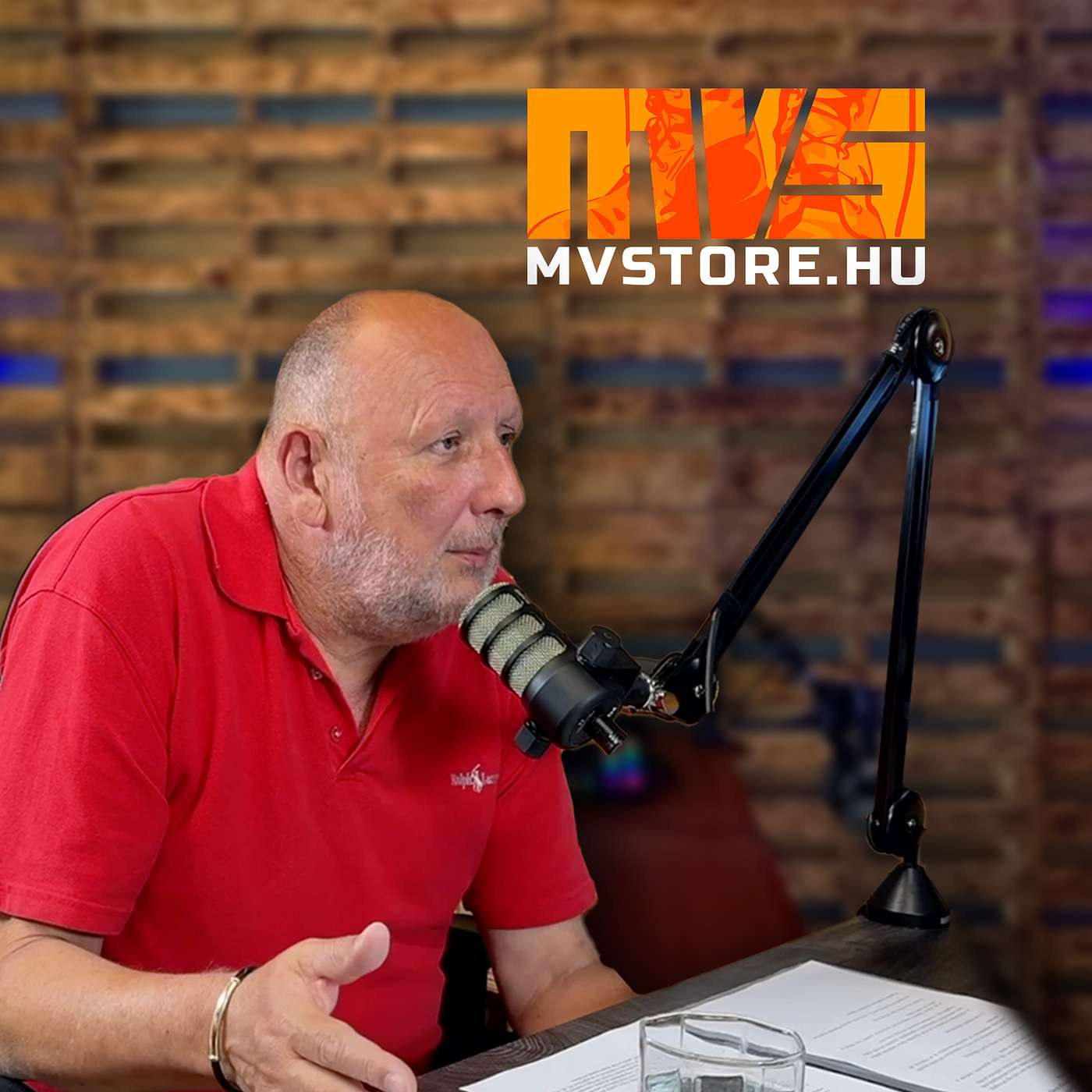 MVSTORY