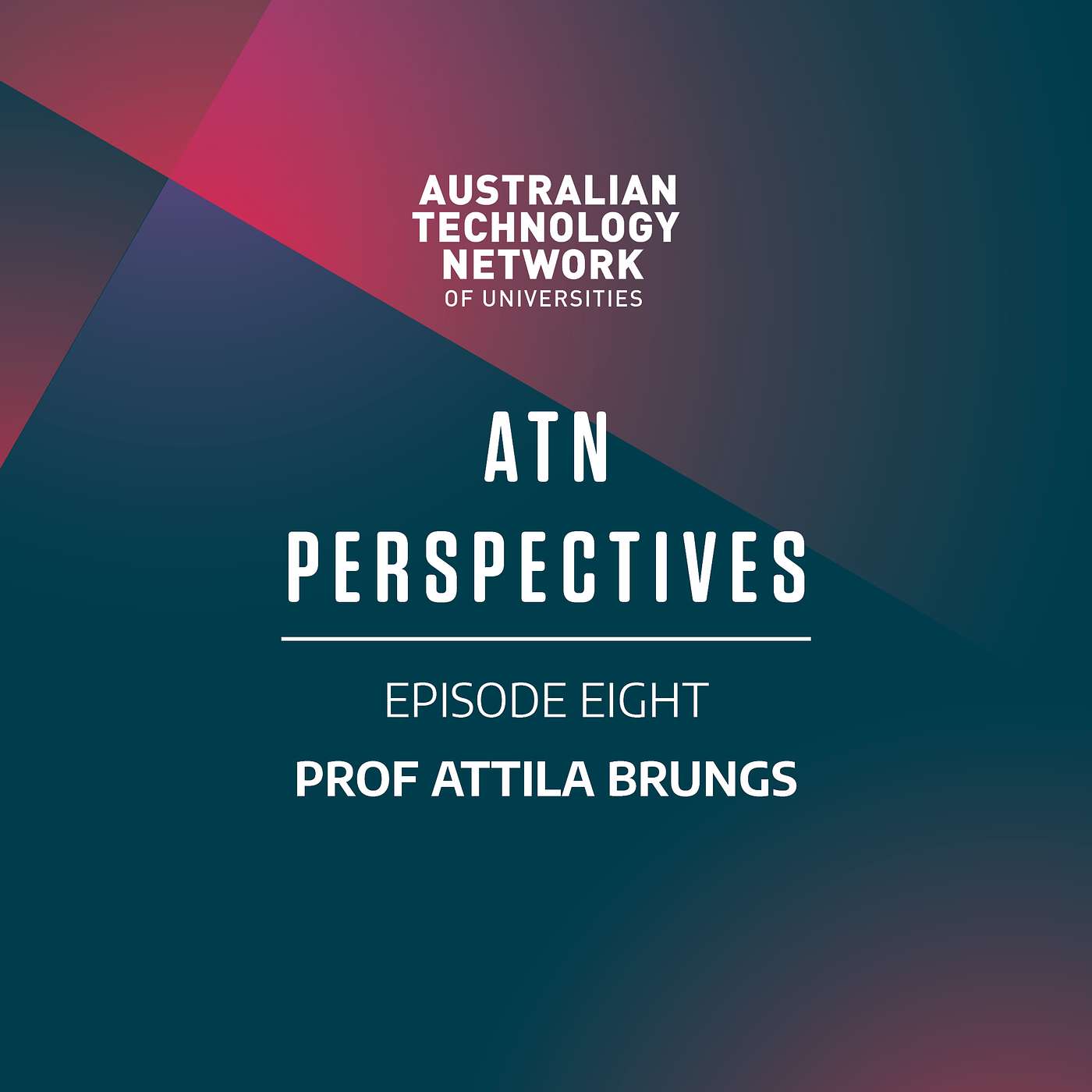 ATN Perspectives