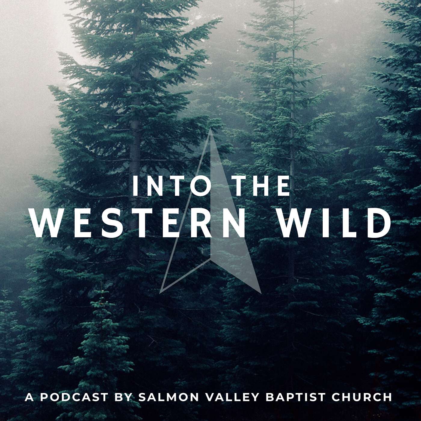 Psalm 104: The Creation of God