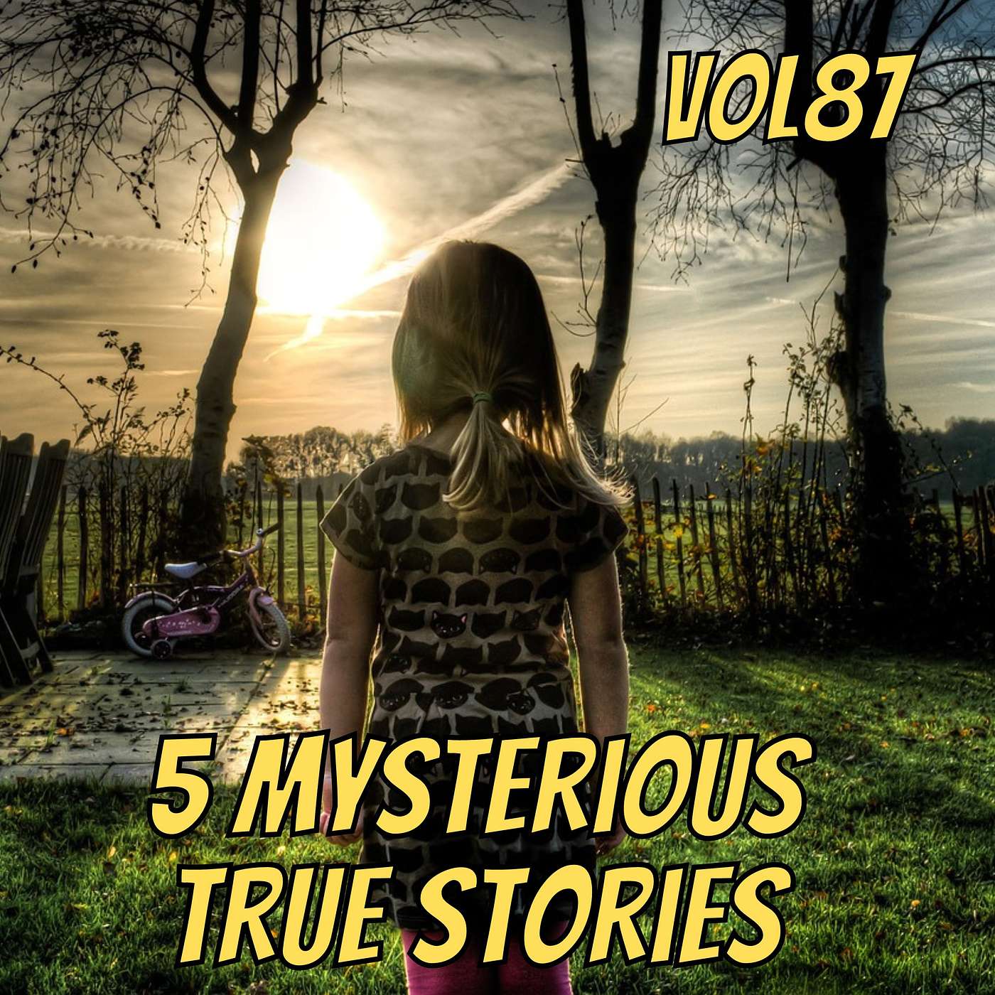 5 Selected Mysteries. Strange Terrifying But True Stories Vol.87