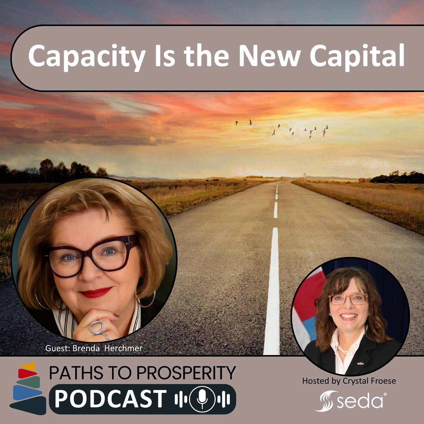 Investing in Capacity with guest expert Brenda Herchmer episode artwork