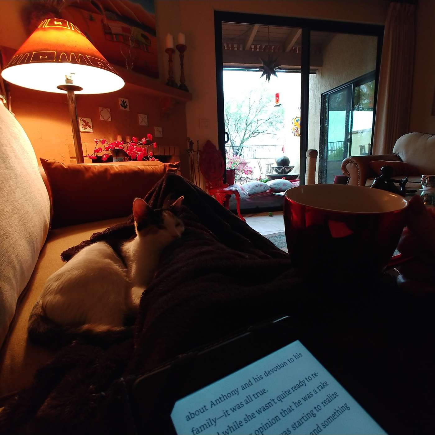 First Cup of Coffee - November 29, 2019