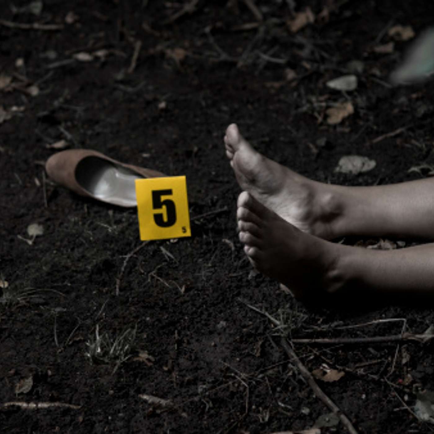 Three Girls A Mom and A Box of Serial Killers cover