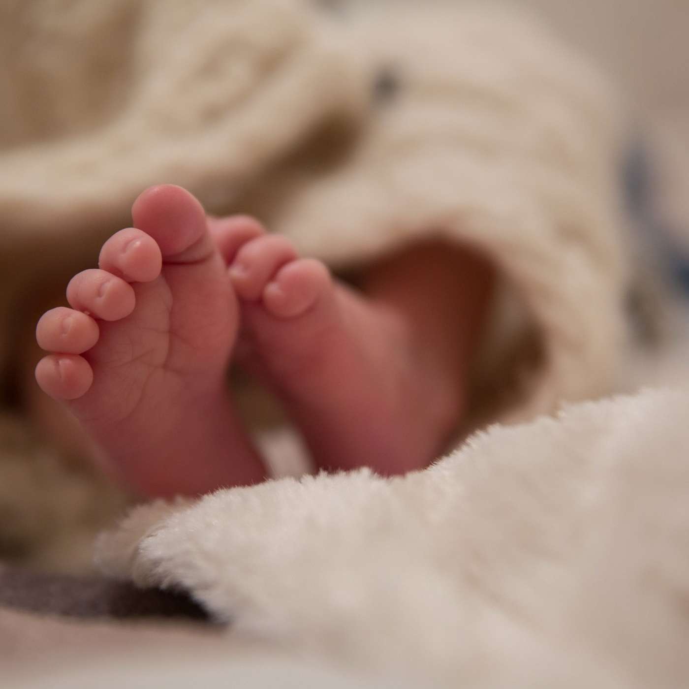 But Why a Baby? But Why a Baby?