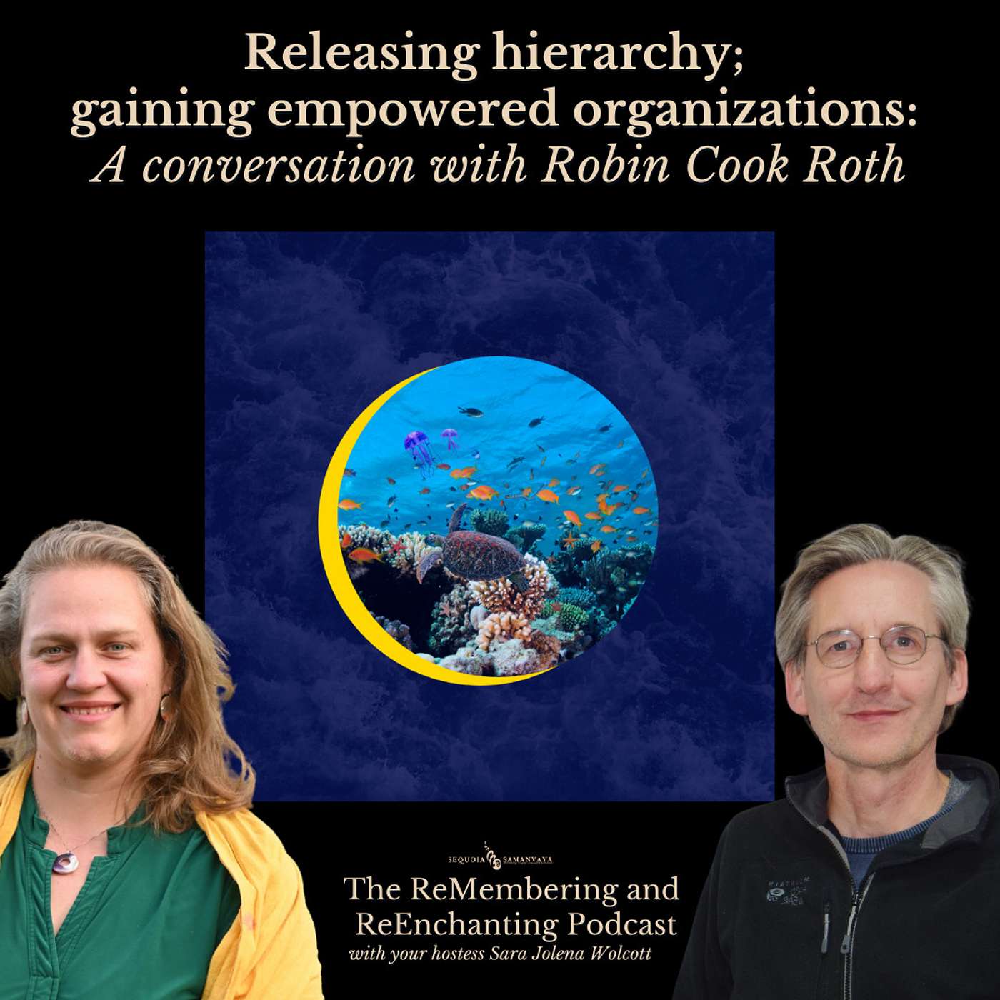 Episode 25 - Releasing hierarchy; gaining empowered organizations: A conversation with CEO Robin Cook Roth on Holacracy