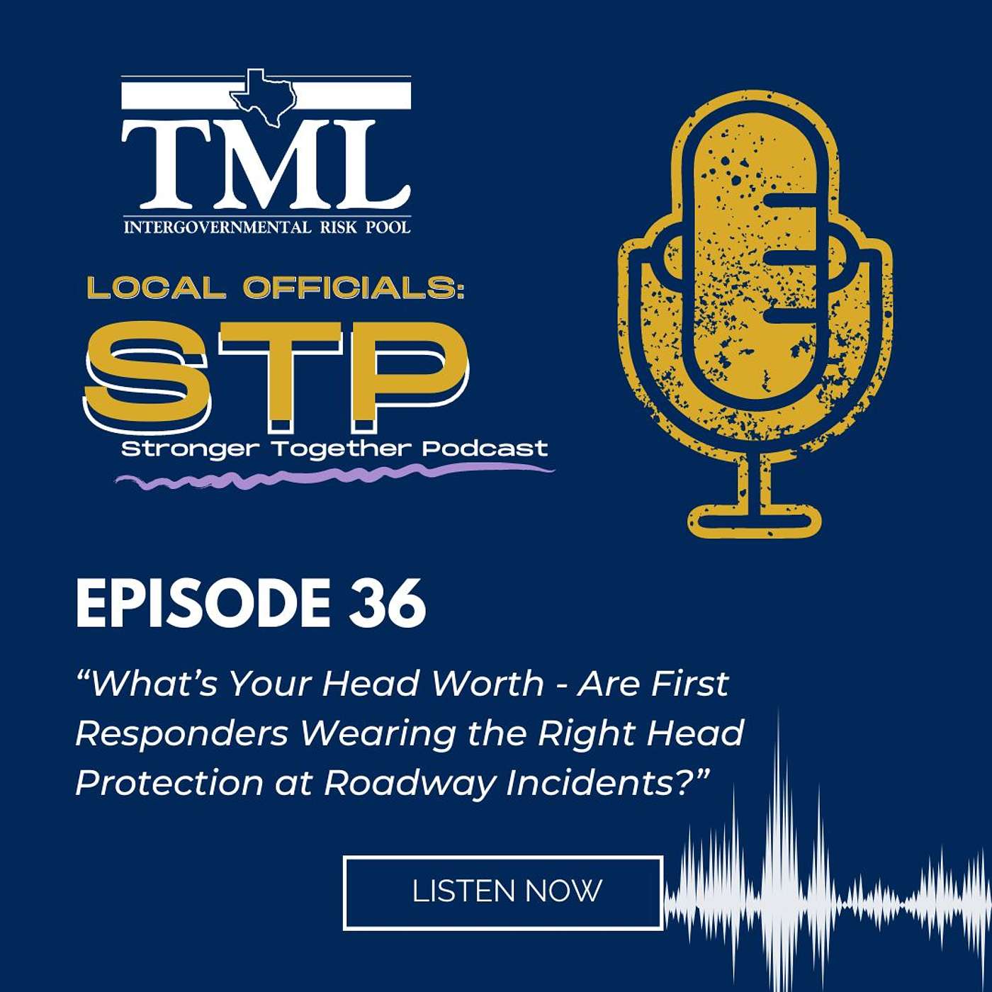 Local Officials: Stronger, Together Podcast