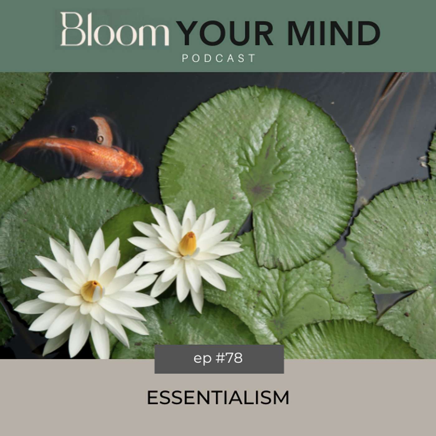 Ep 78: Essentialism
