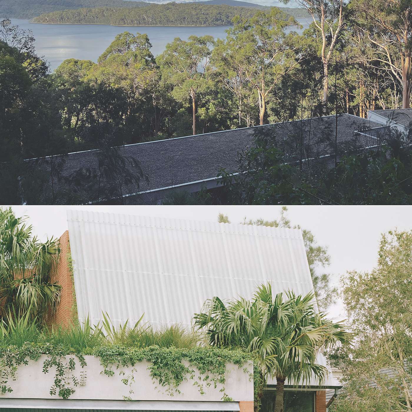 Anthony Gill & Jason Gibney – Urban density / bushfire resilience