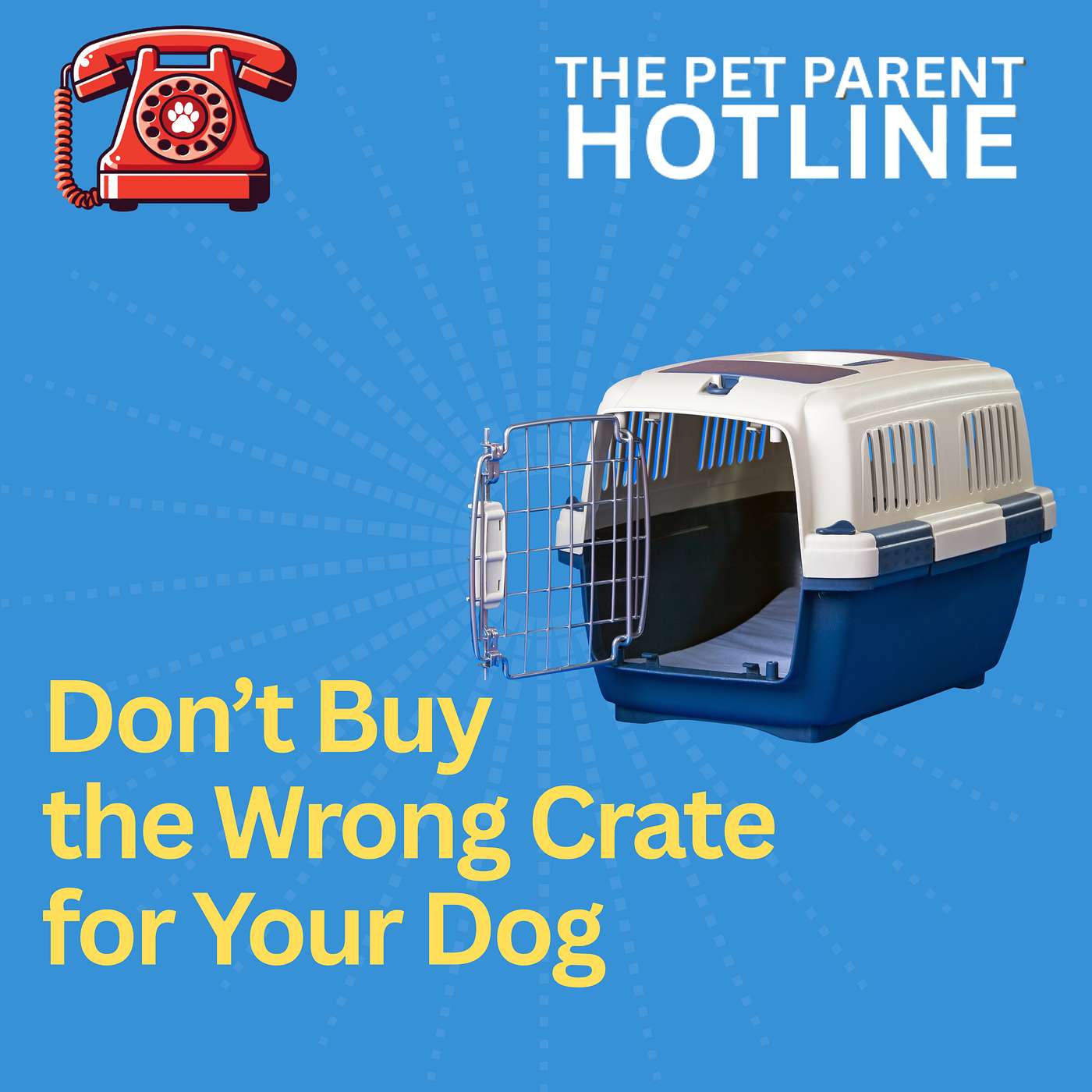 Don’t Buy the Wrong Crate for Your Dog
