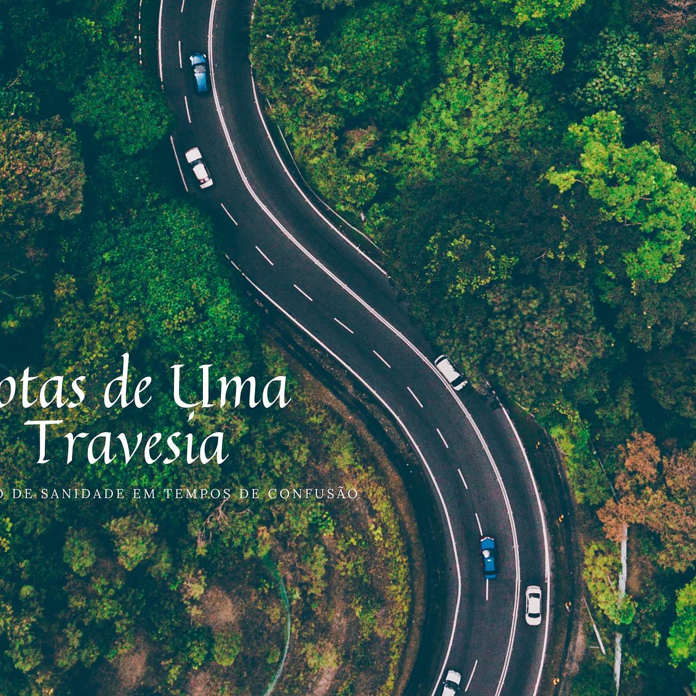 A ordem que nasce da intensidade —Notas de uma travessia #26 episode artwork