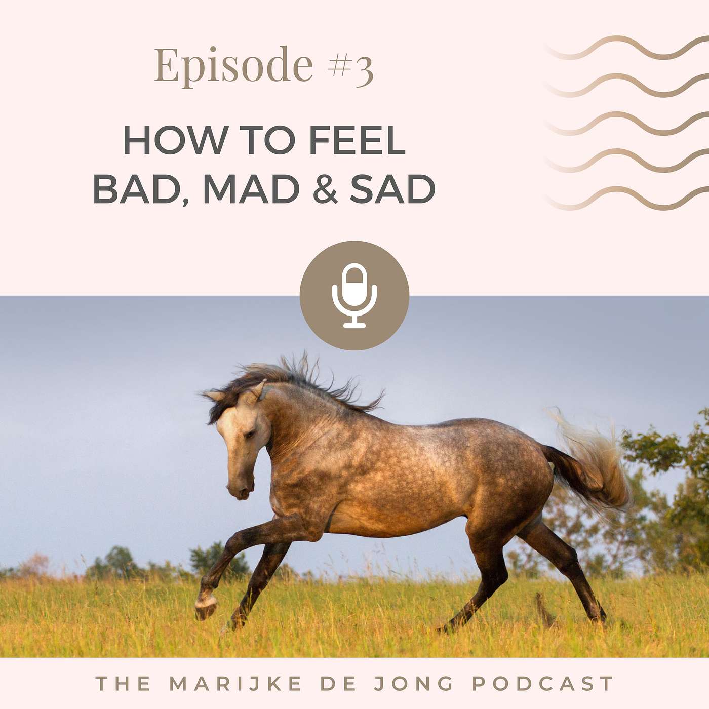 #3 How to feel bad, mad & sad