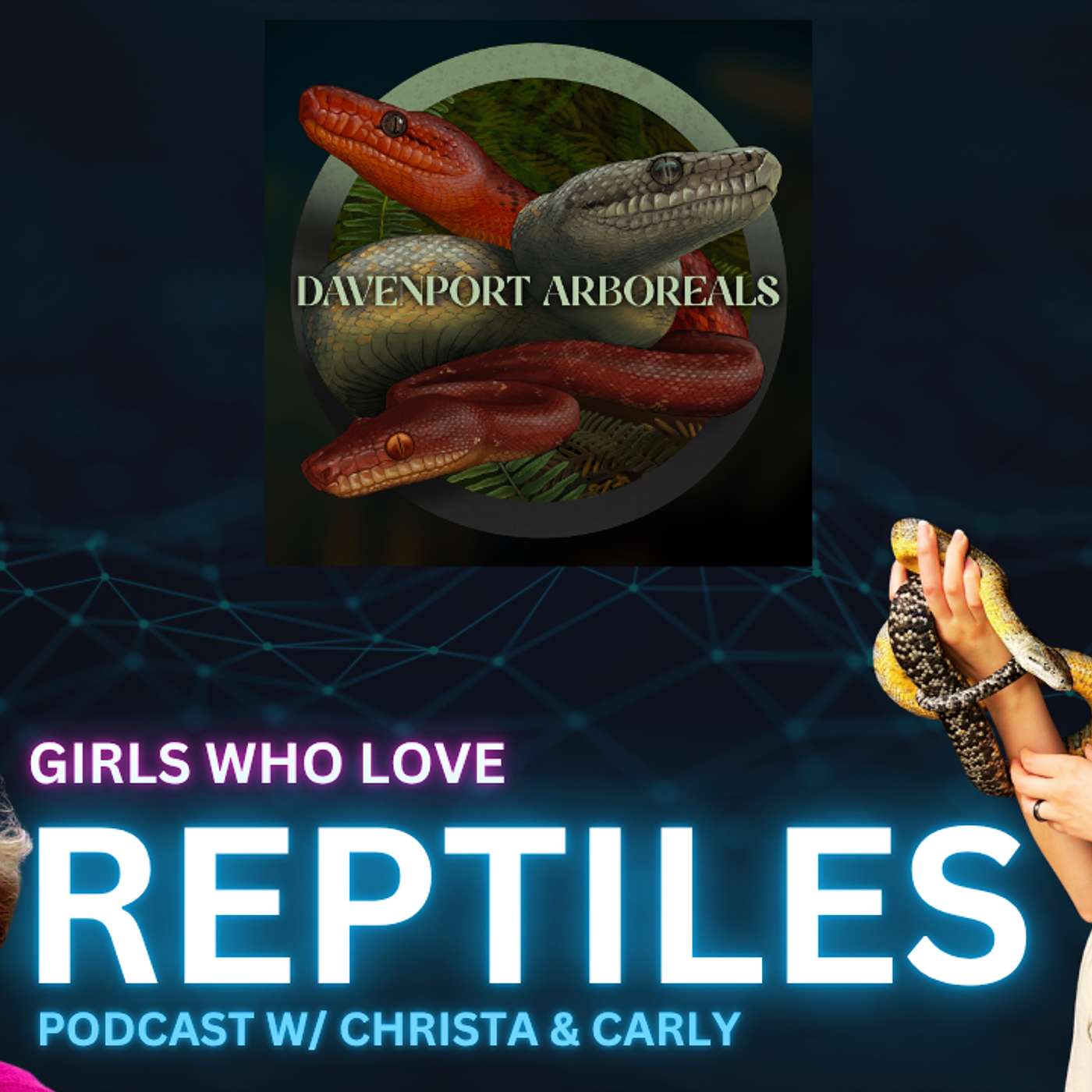 The Untold Truth About Dominican Red Mountain Boas Girls Who Love Reptiles Podcast Live