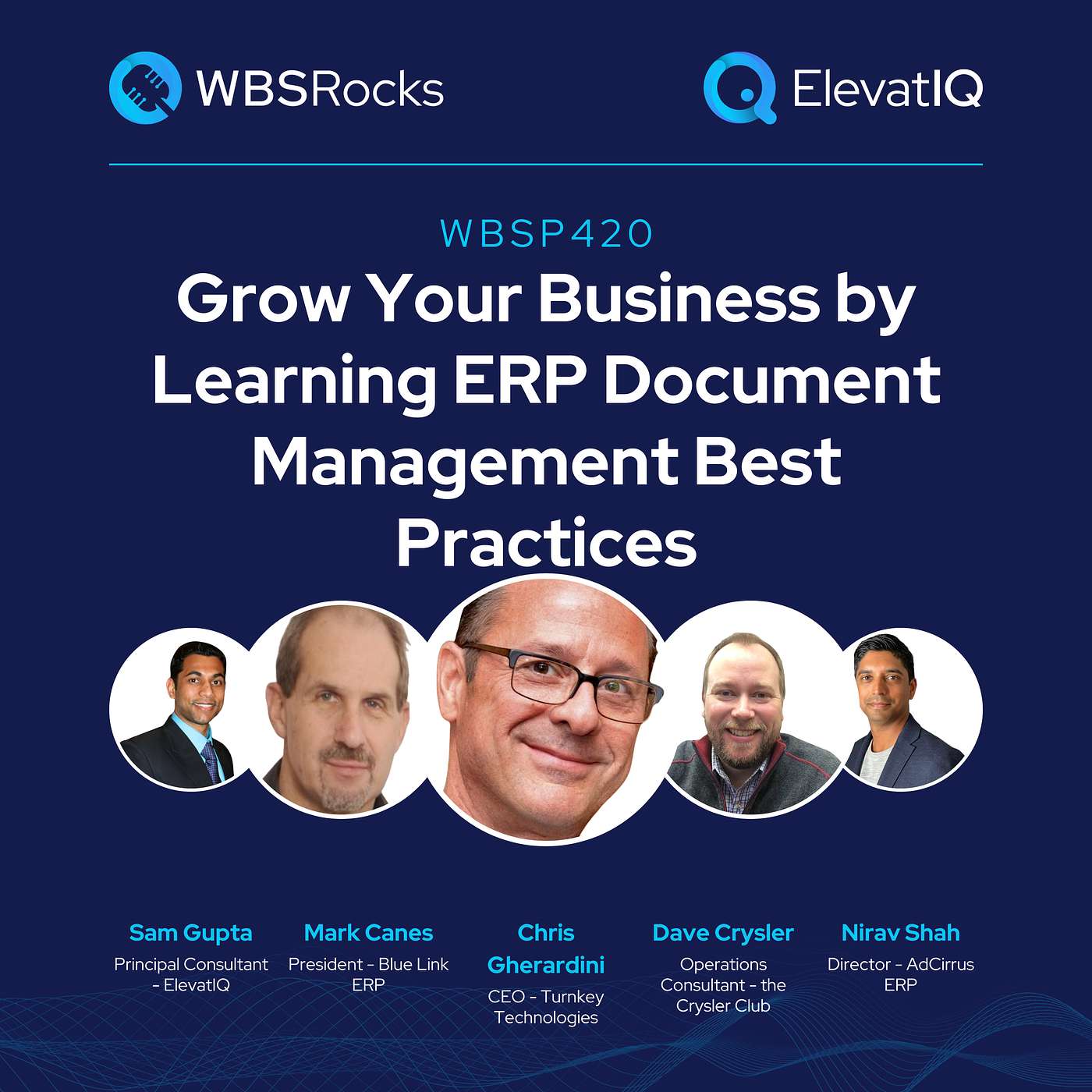 WBSP420: Grow Your Business by Learning ERP Document Management Best Practices, a Live Interview w/ a Panel of Experts