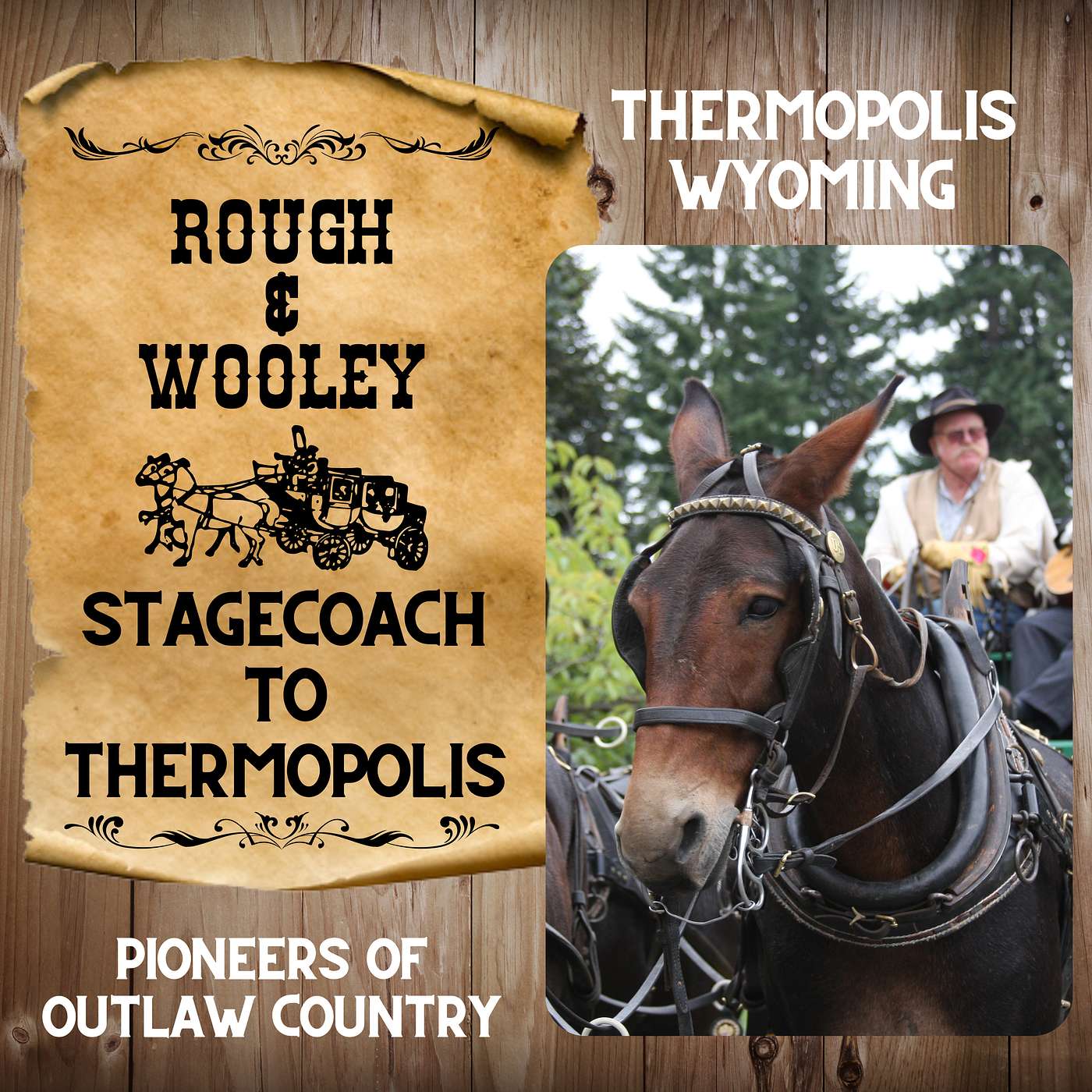 The Rough & Wooley Stage Line to Thermopolis