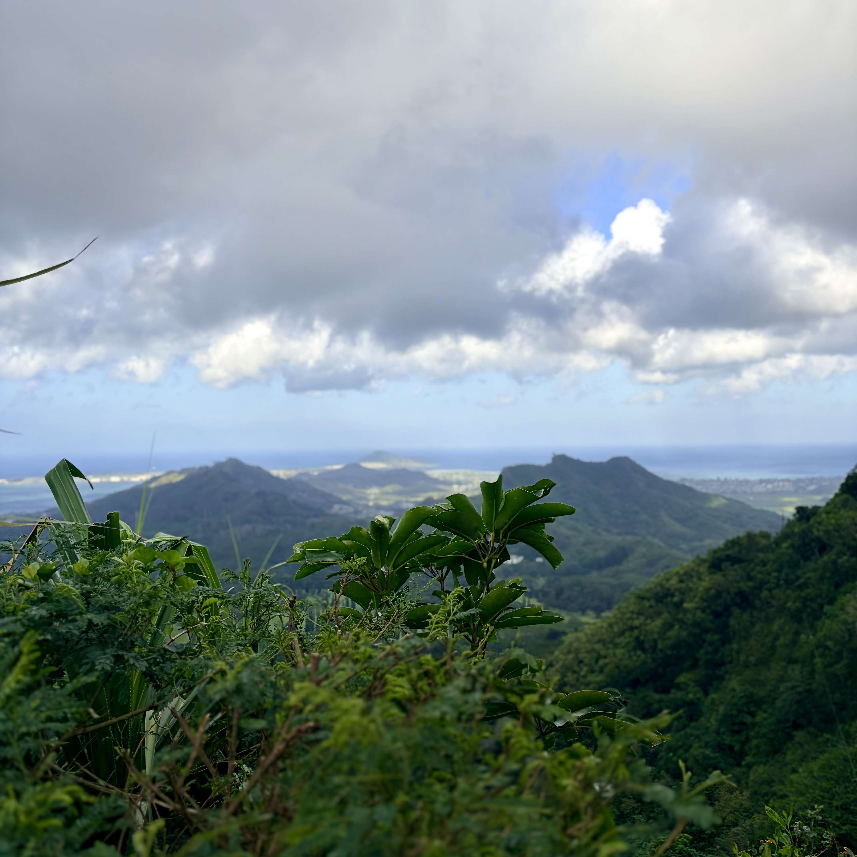 TheBlackCast(E) Pod cover art