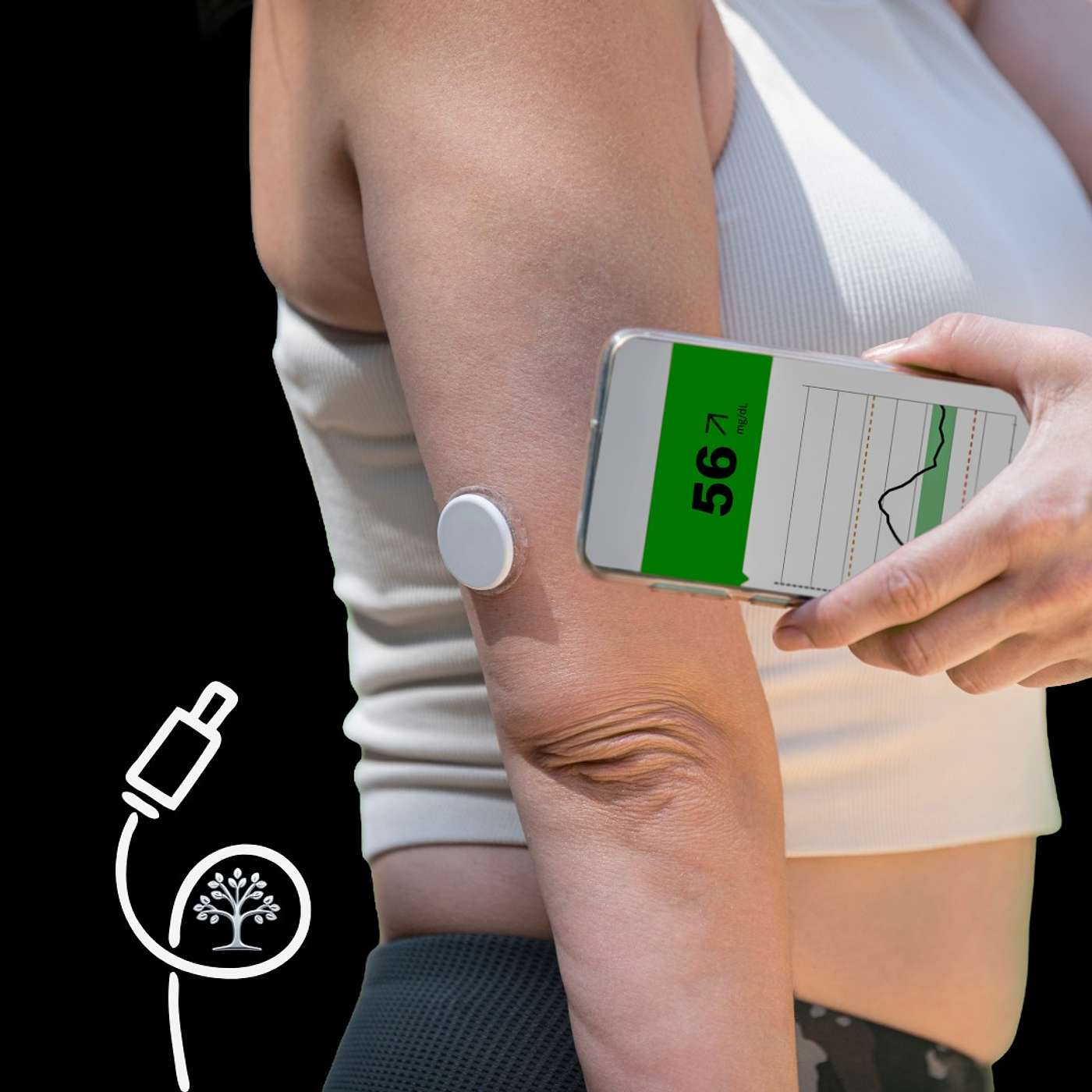 Optimizing Blood Sugar with Emerging Diet Trends Optimizing Blood Sugar with Emerging Diet Trends