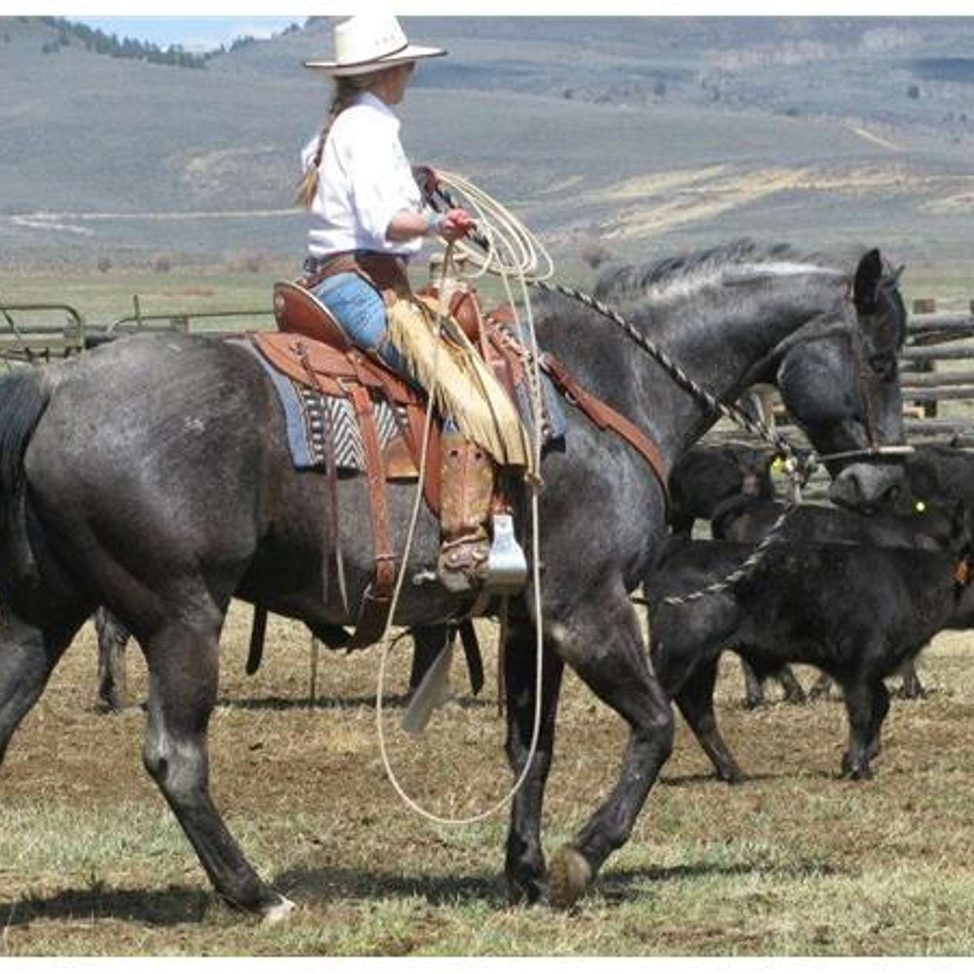 CAITLYN TAUSSIG on EQUESTRIAN LEGACY RADIO'S CAMPFIRE CAFE'