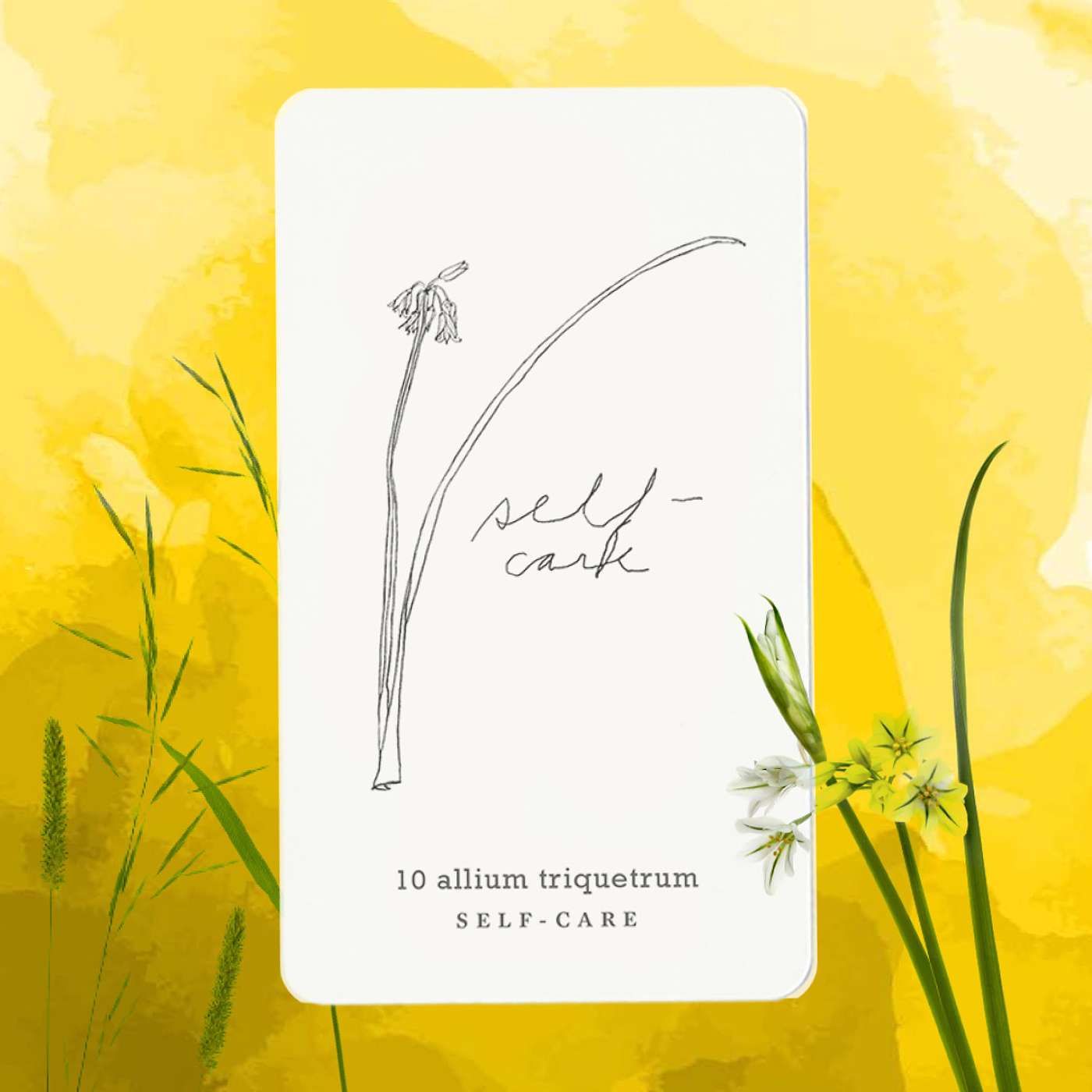 Gratitude Blooming Podcast