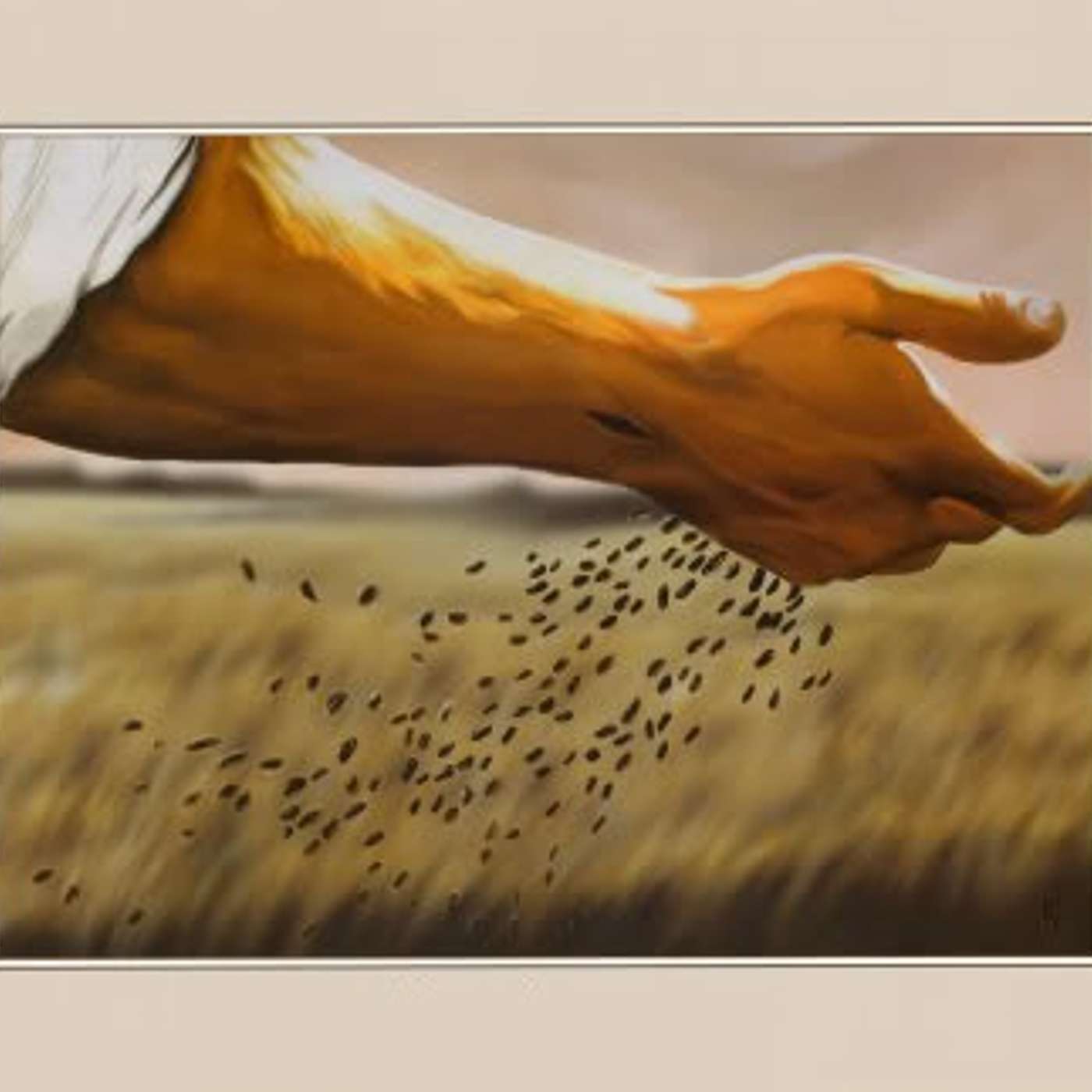 The Church at Sun Coast