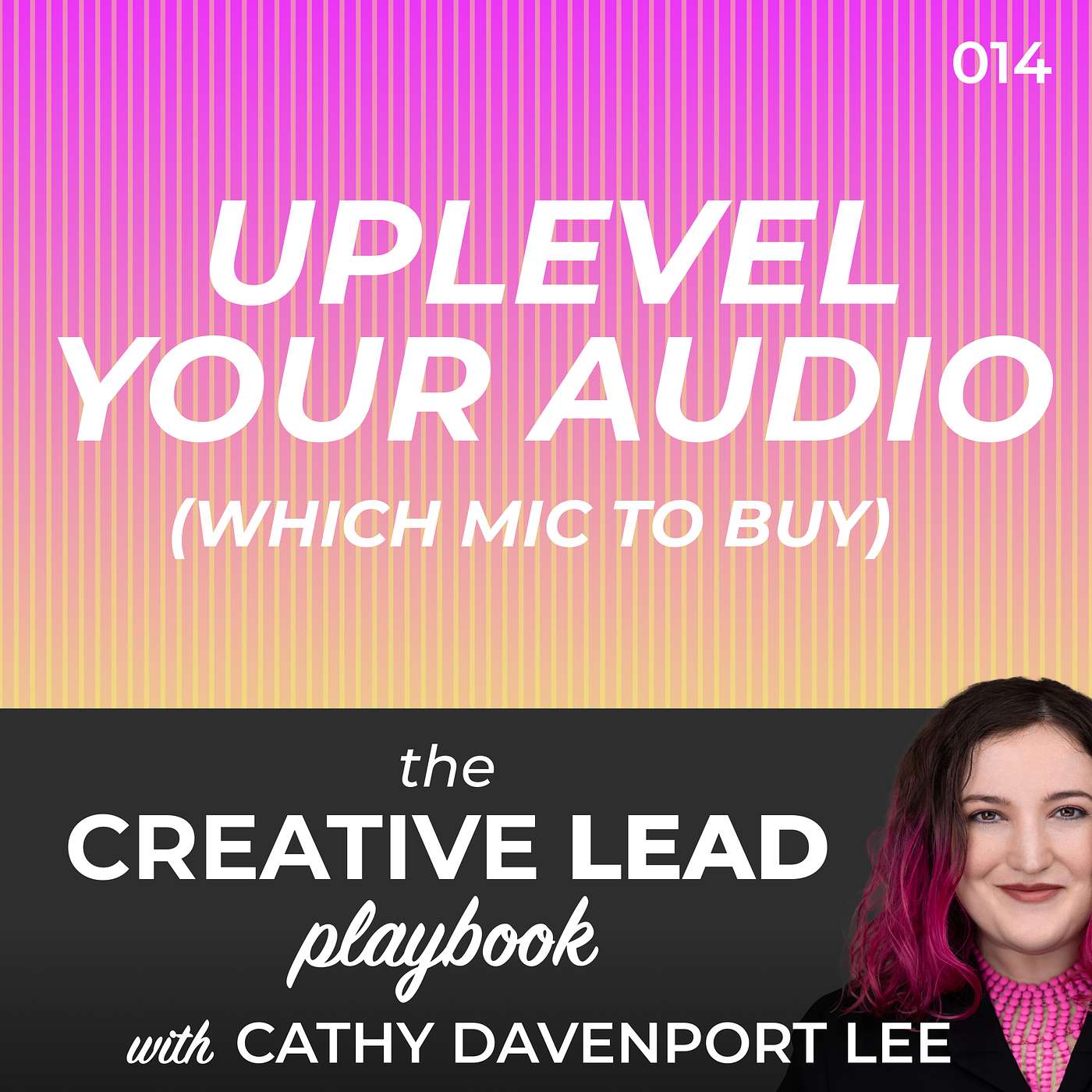 Uplevel Your Audio (Which Mic to Buy) Uplevel Your Audio (Which Mic to Buy)