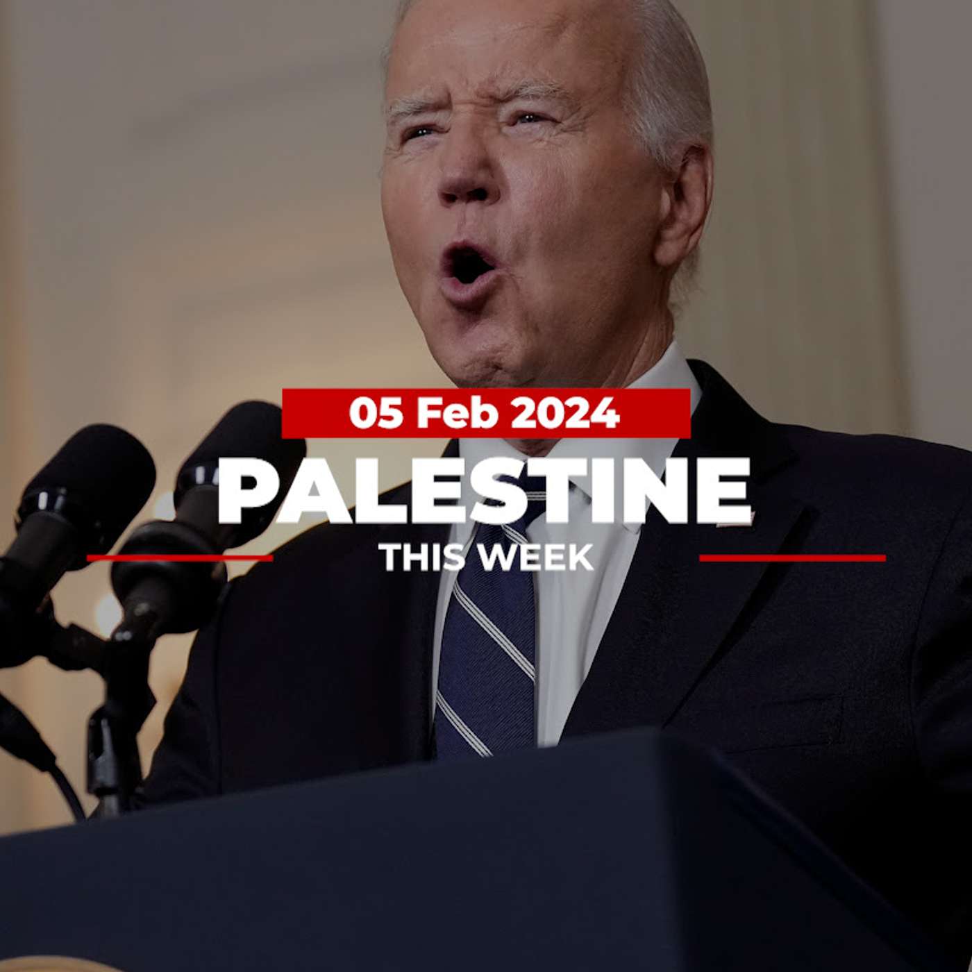 Palestine This Week