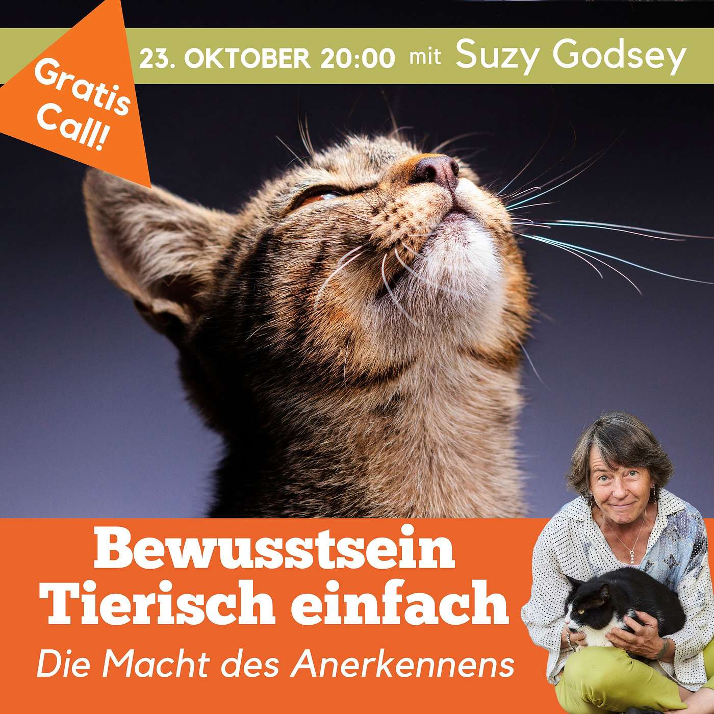 Bewusstsein Tierisch Einfach