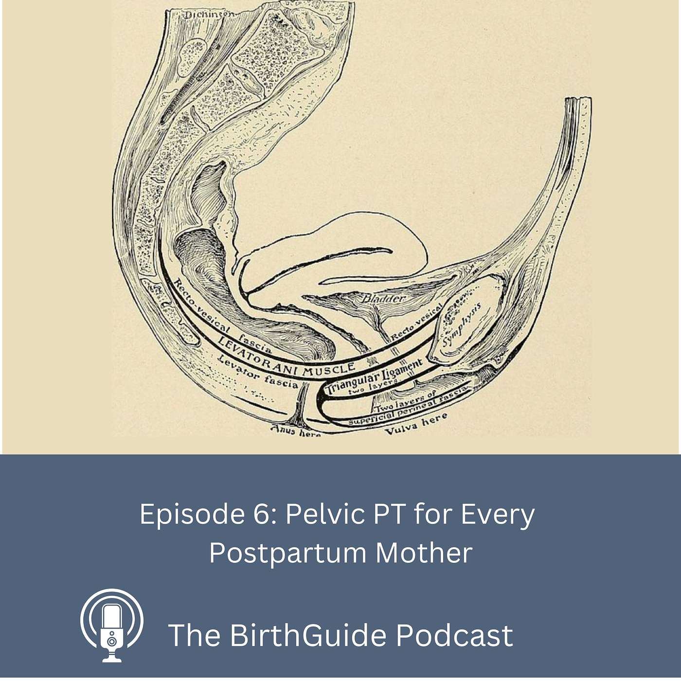 The BirthGuide Podcast