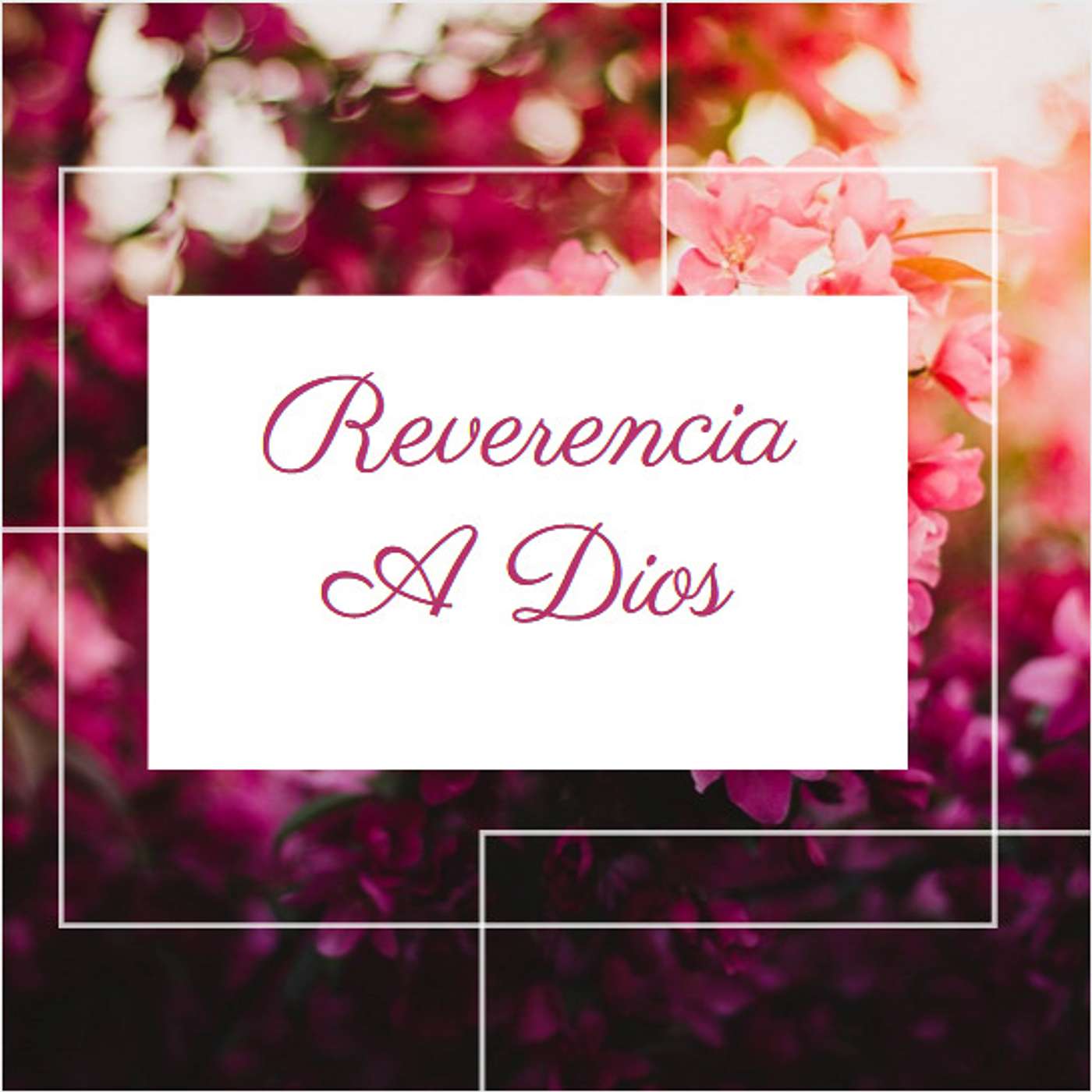 Reverencia A Dios