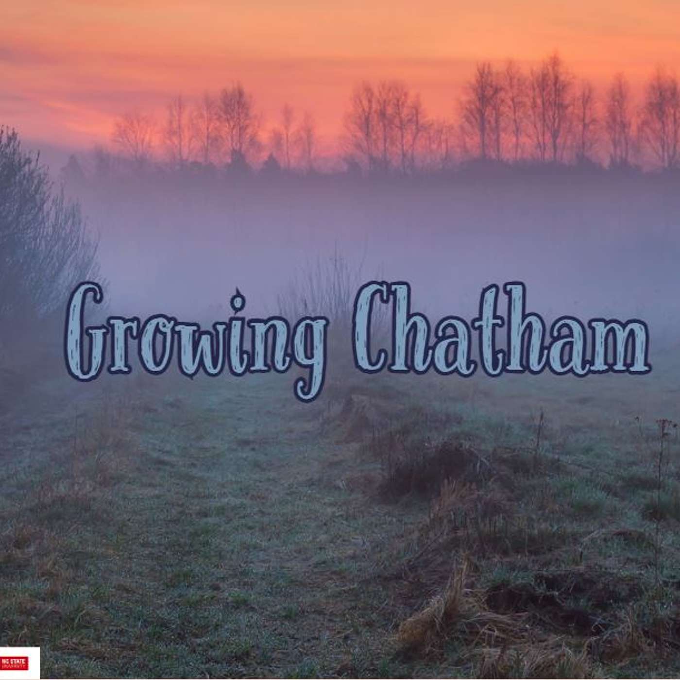 Growing Chatham February 2024 Edition episode artwork