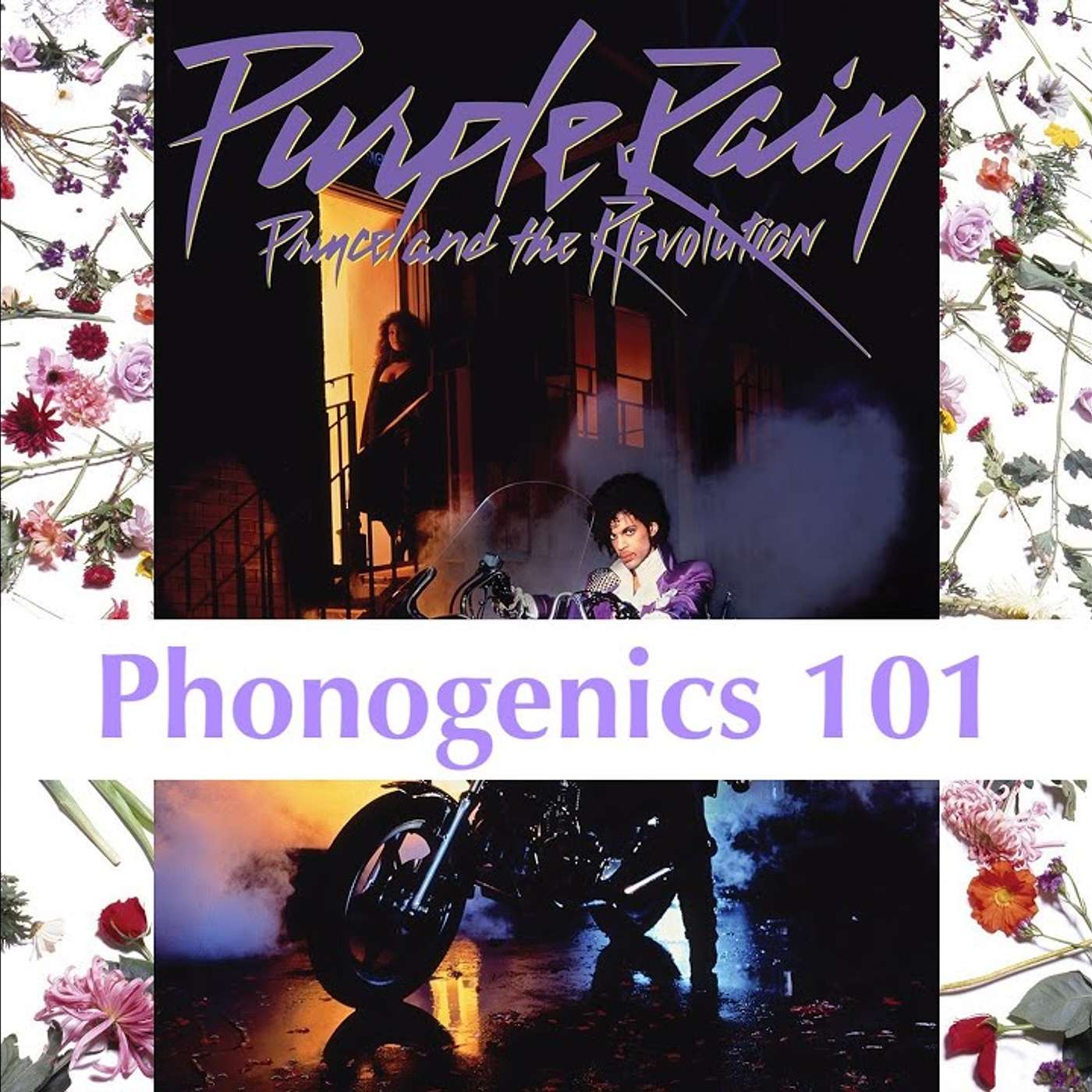 Phonogenics 101: Discussing Albums Track By Track