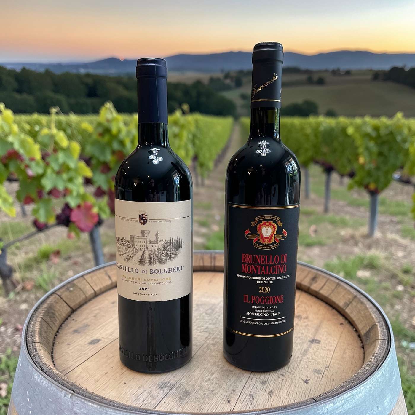 Italian wine, go fish PROMO