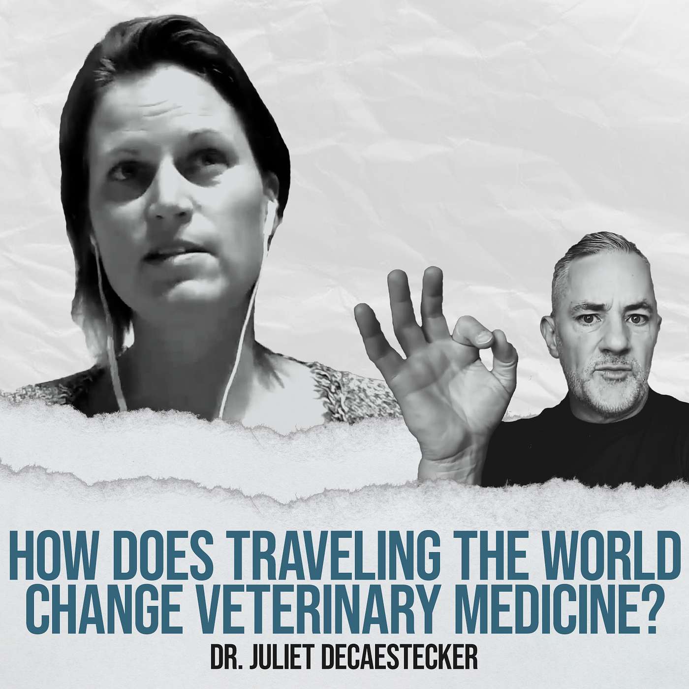 How Does Traveling The World Change Veterinary Medicine? - with Dr. Juliet Decaestecker