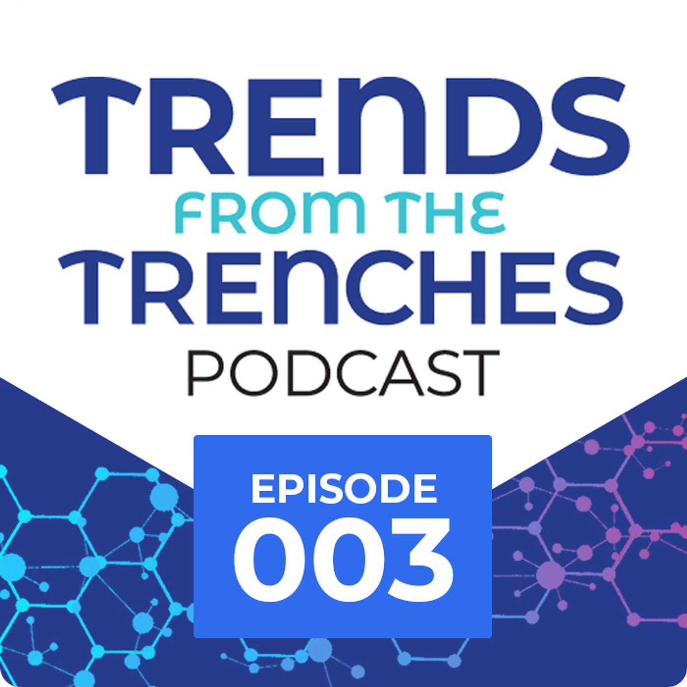 Episode 03: Jim Bilotta on Digitization vs. Digital Transformation at Alnylam episode artwork