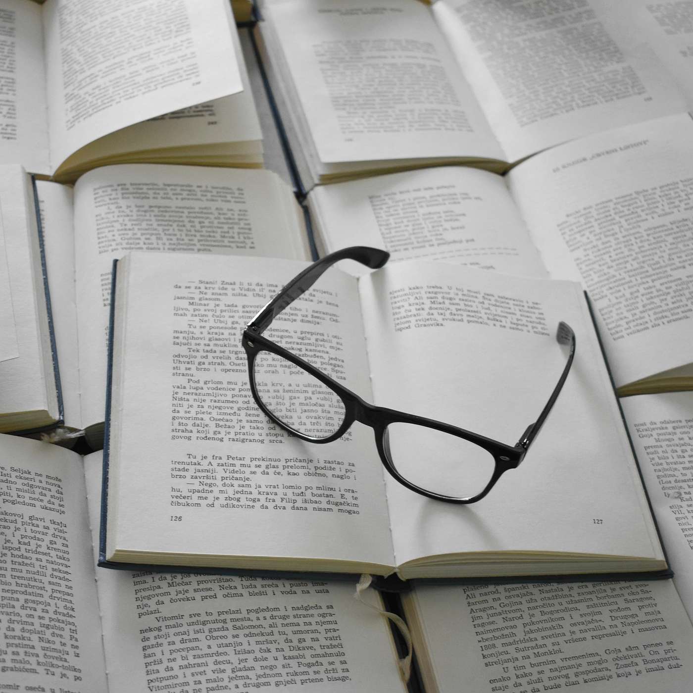 Journals and monographs in academic evaluation processes episode artwork