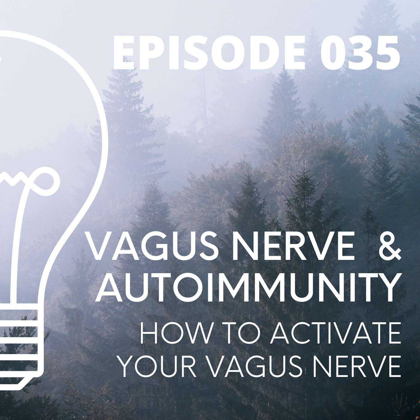 035 - Vagus Nerve and Autoimmunity - How to ACTIVATE your Vagus Nerve