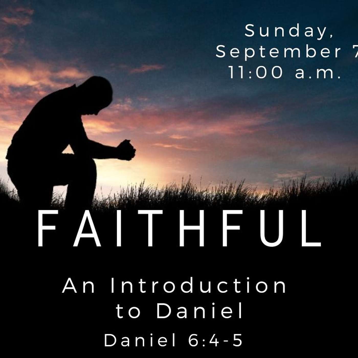 Faithful: An Introduction To Daniel