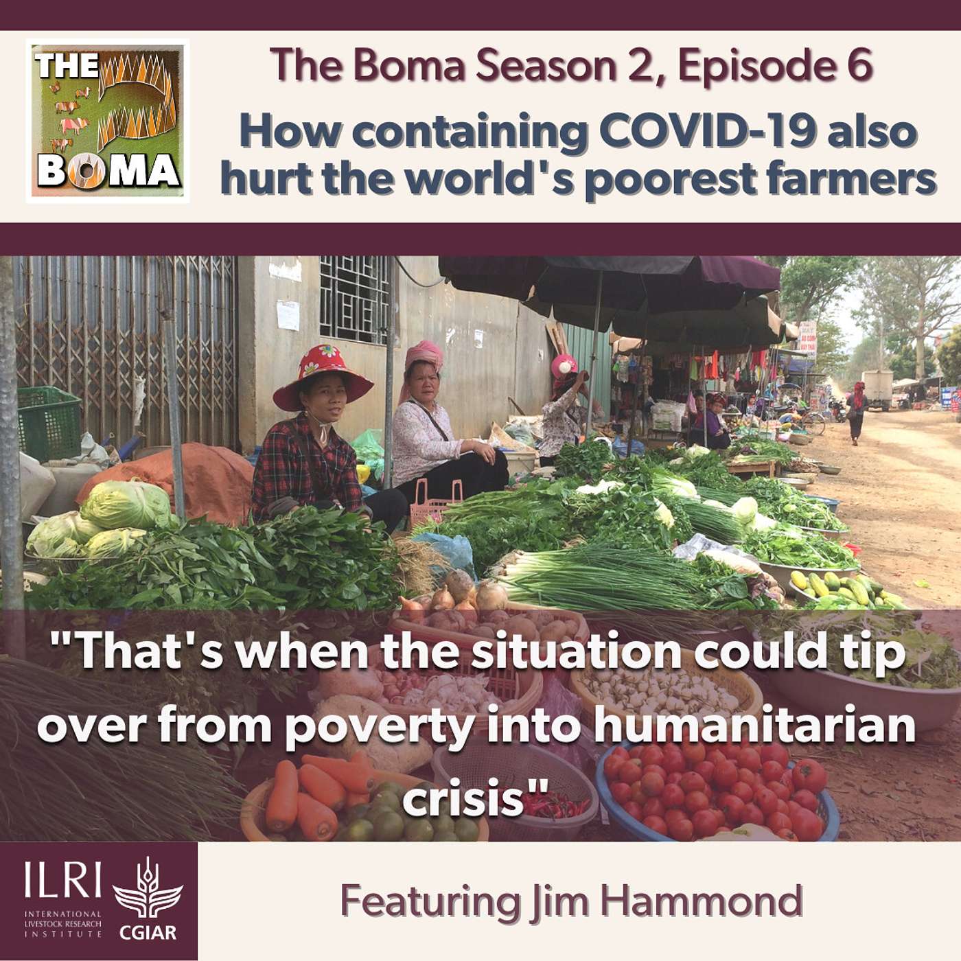 How containing COVID-19 also hurt the world's poorest farmers