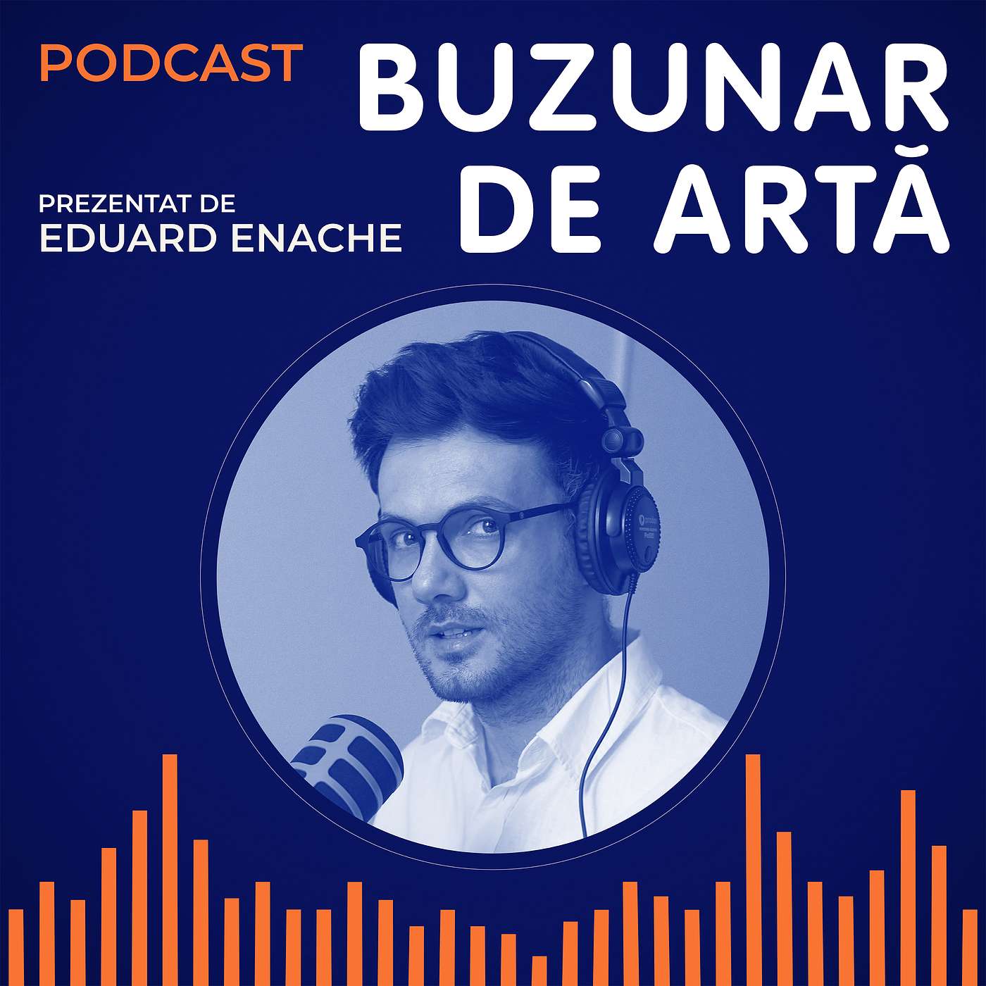 Podcast Buzunar de Artă