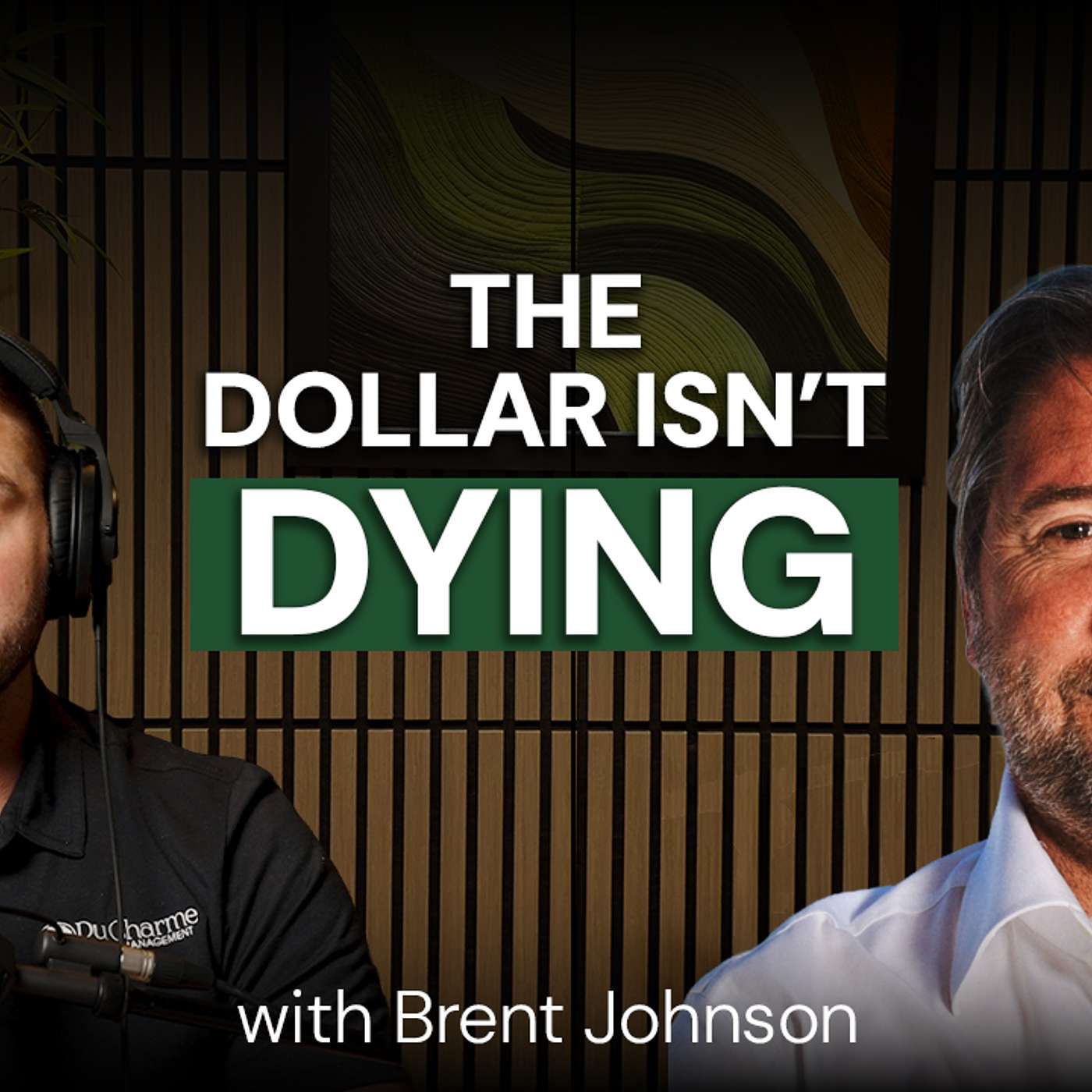 The Dollar Milkshake Theory with Brent Johnson of Santiago Capital episode artwork