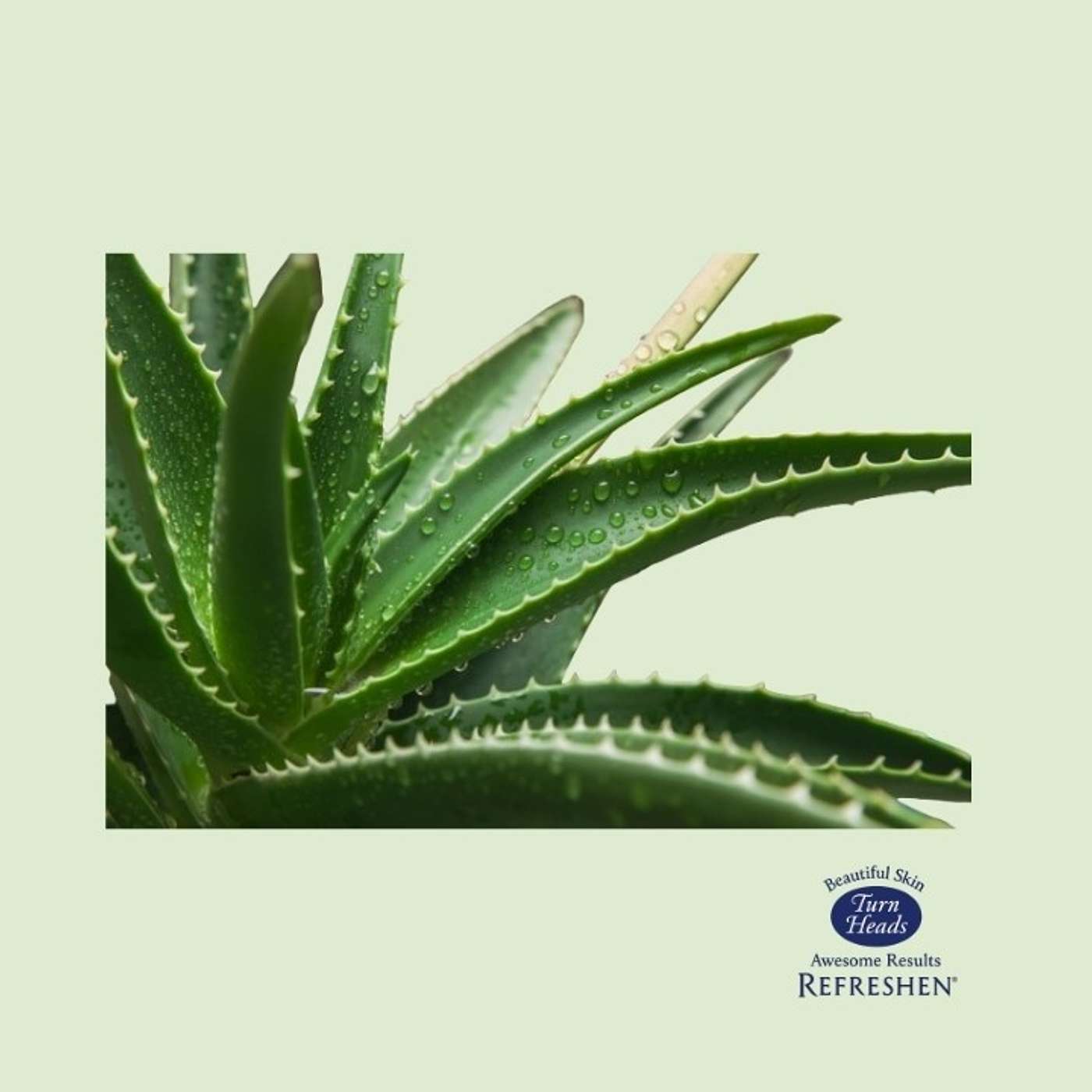 Welcome to: REFRESHEN microdermabrasioncreams.com