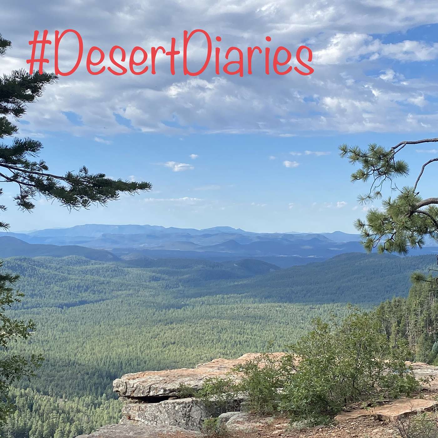 Trees and canyons and bears oh my!