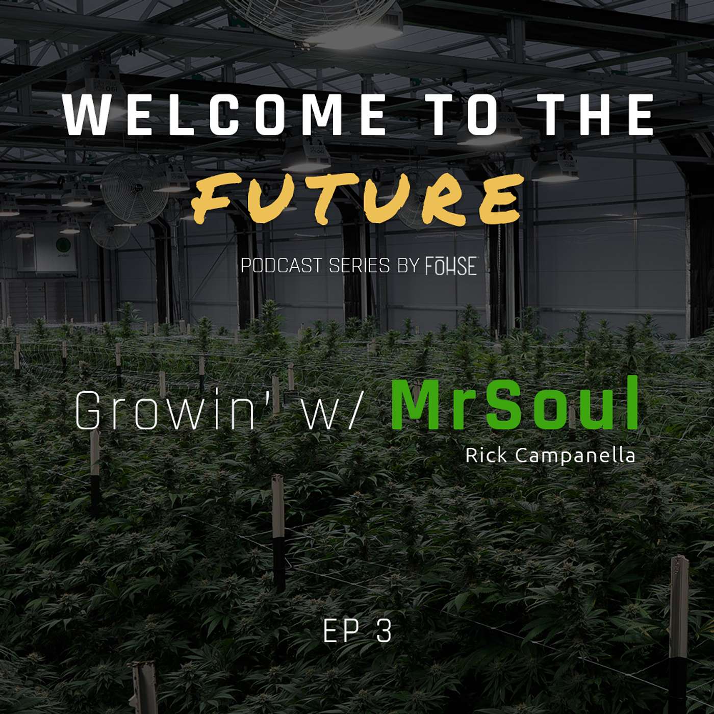 Growin' with MrSoul